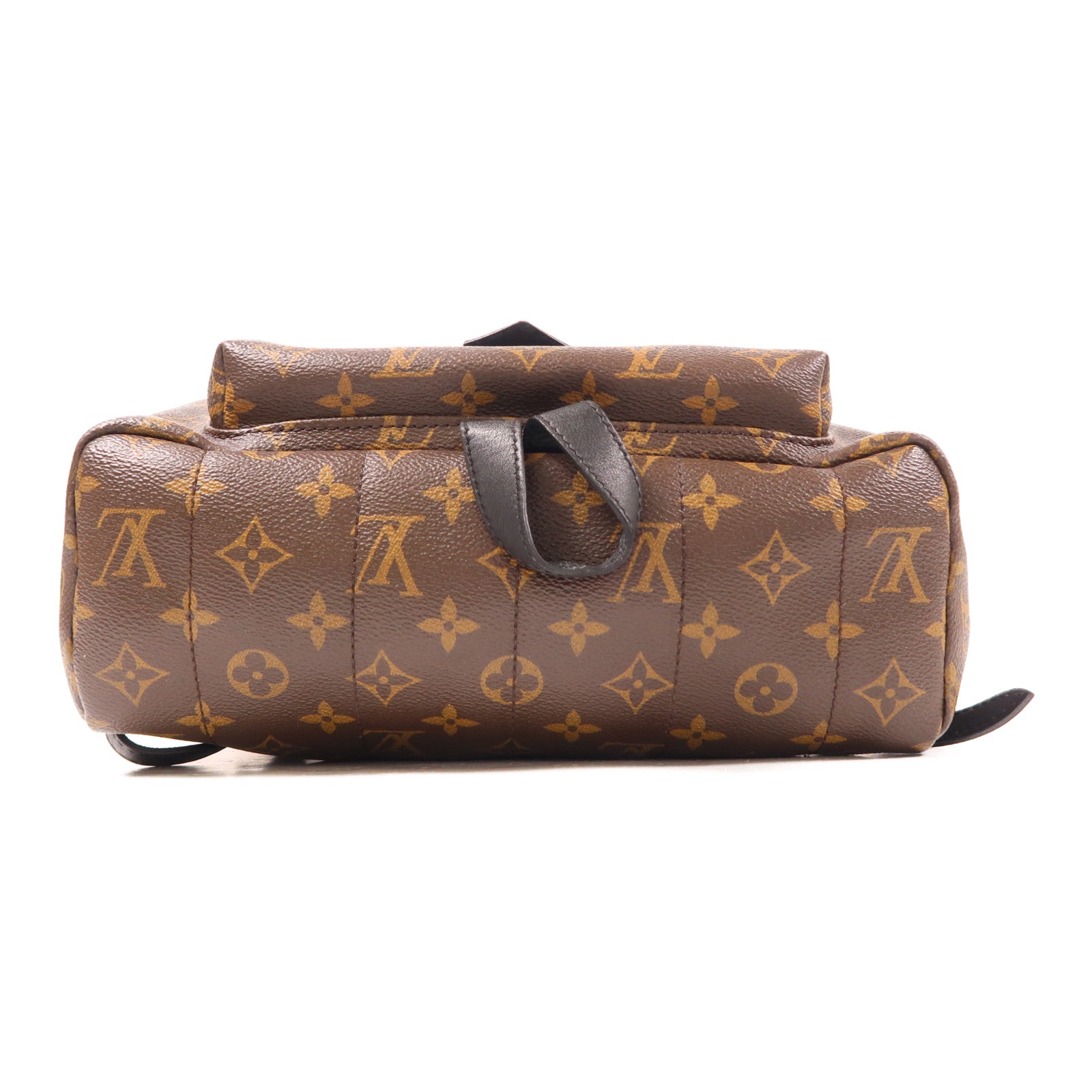 LOUIS VUITTON Monogram Palm Springs MM金扣背包