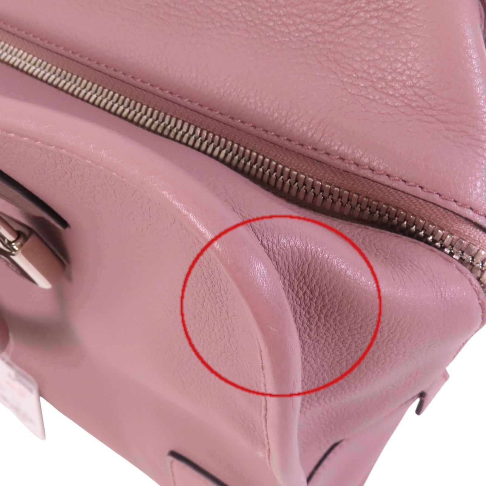 LOEWE 牛皮皮革Amazona 36銀扣肩背袋