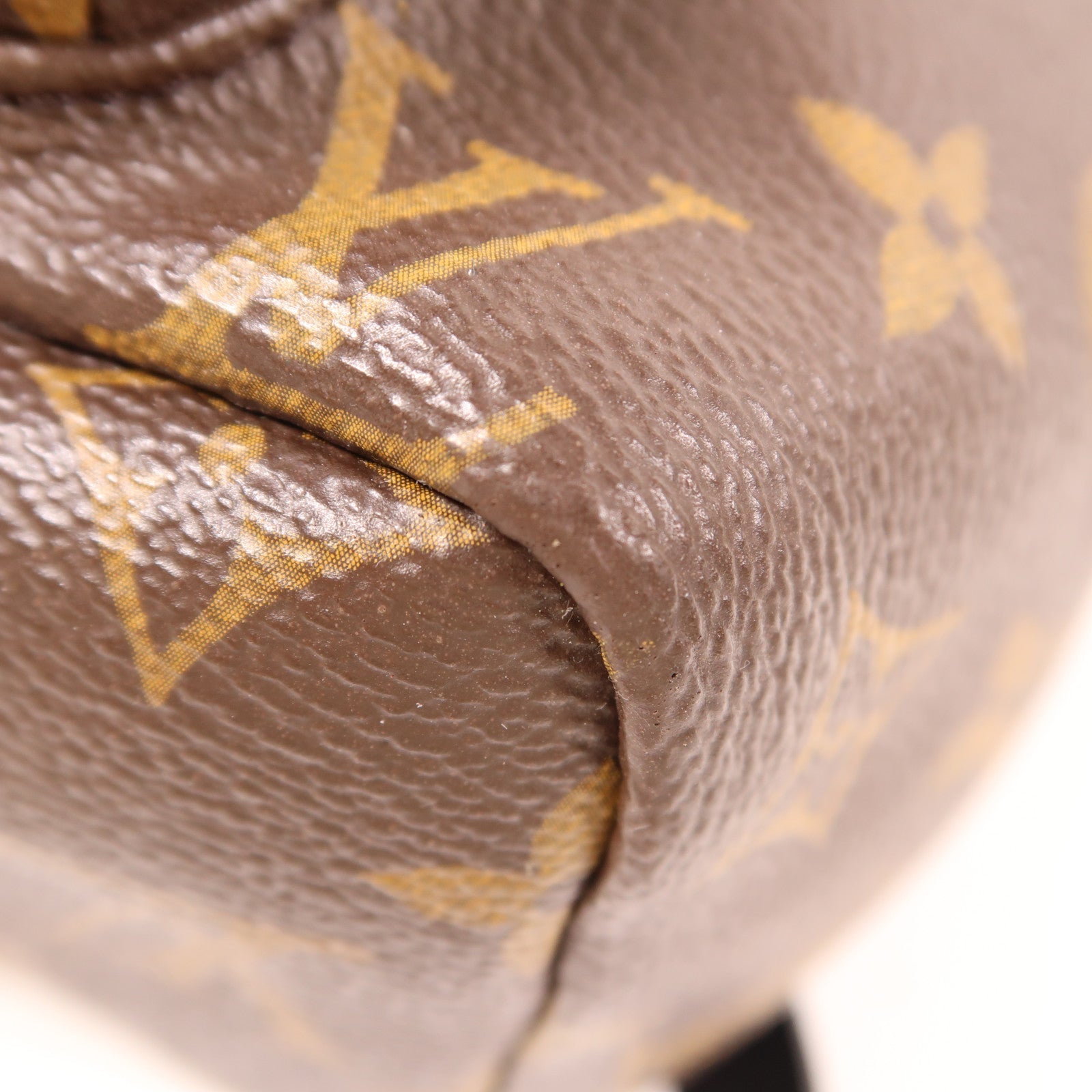 LOUIS VUITTON Monogram Palm Springs MM金扣背包