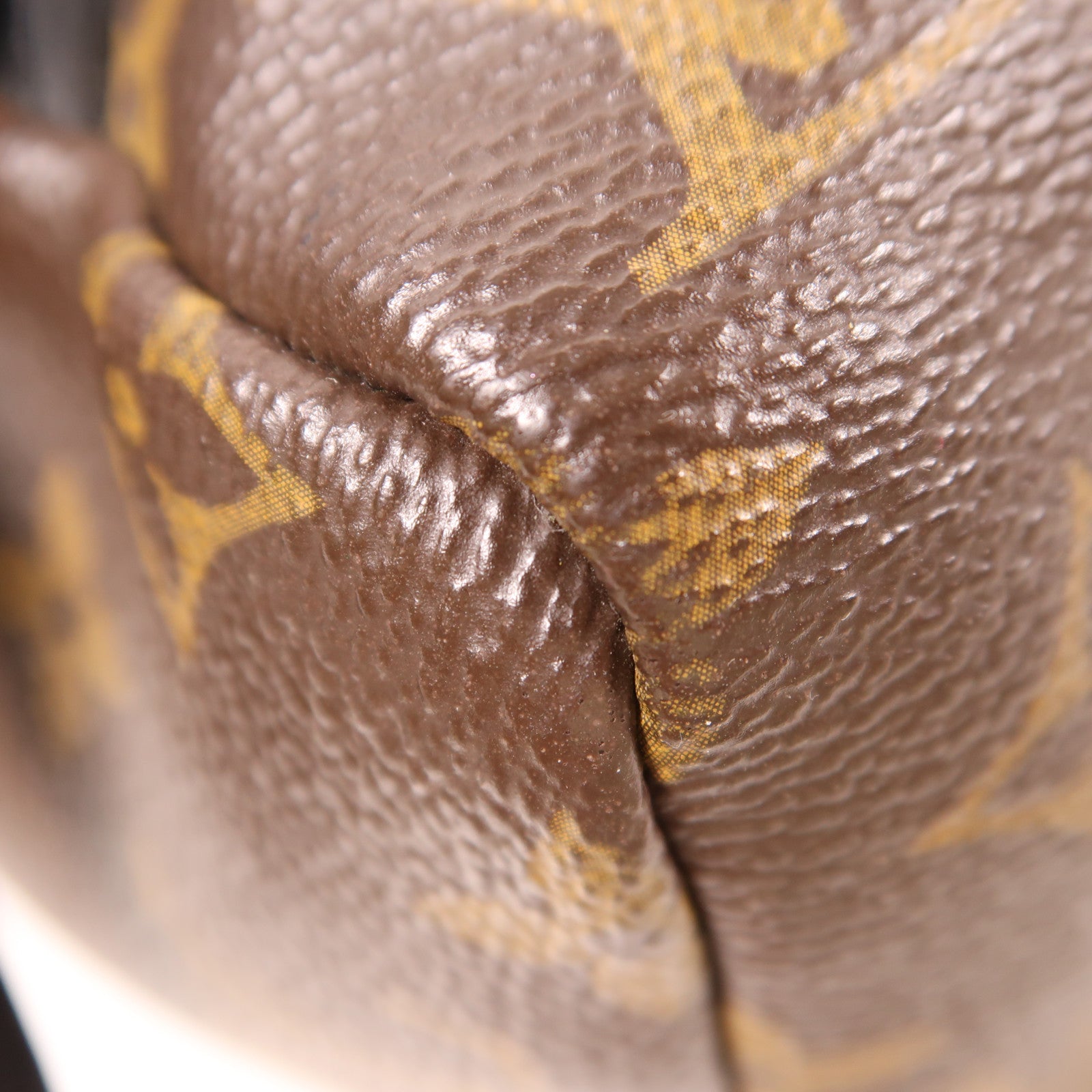 LOUIS VUITTON Monogram Palm Springs MM金扣背包