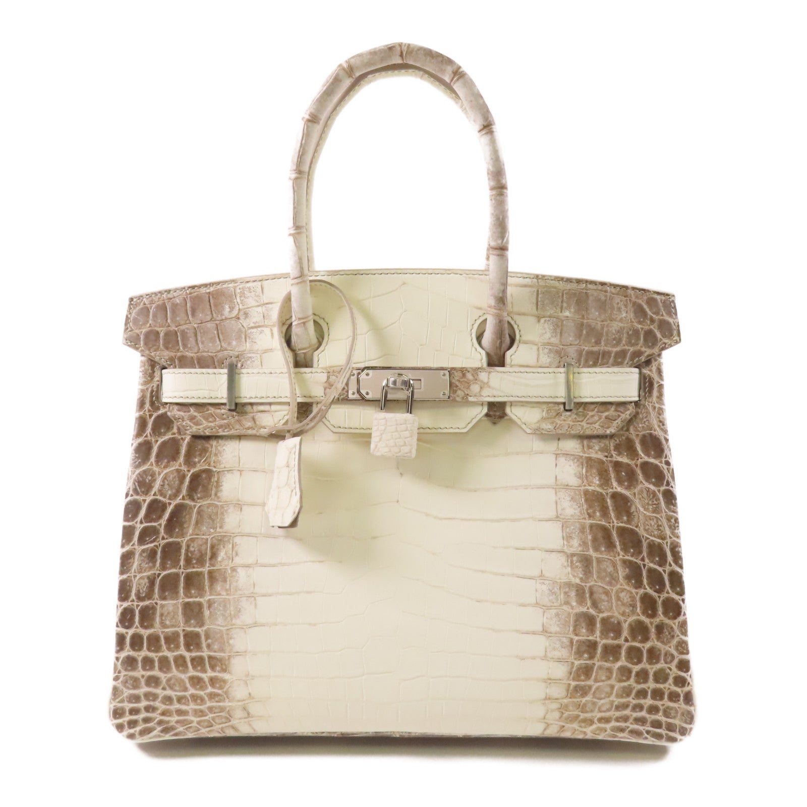HERMES Niloticus Matt Birkin 30 Himalayan銀扣手挽袋
