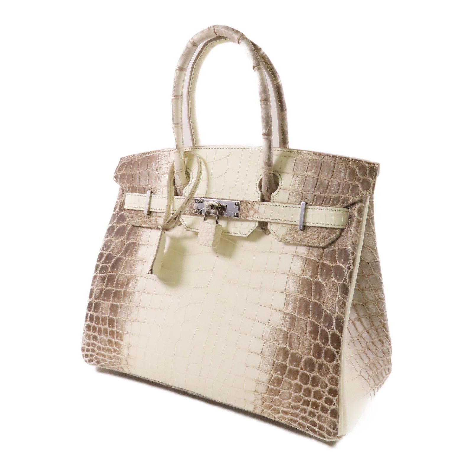 HERMES Niloticus Matt Birkin 30 Himalayan銀扣手挽袋