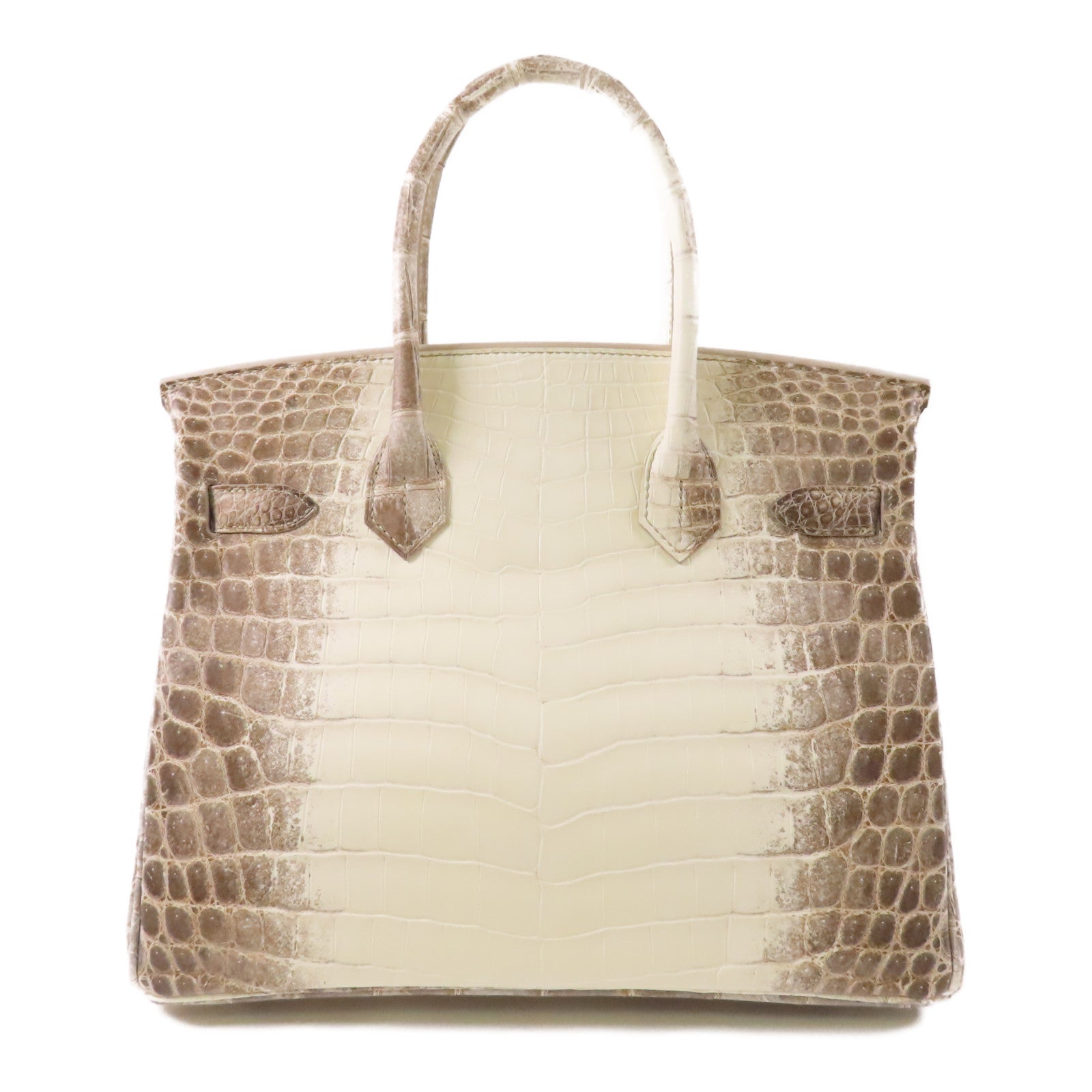 HERMES Niloticus Matt Birkin 30 Himalayan銀扣手挽袋