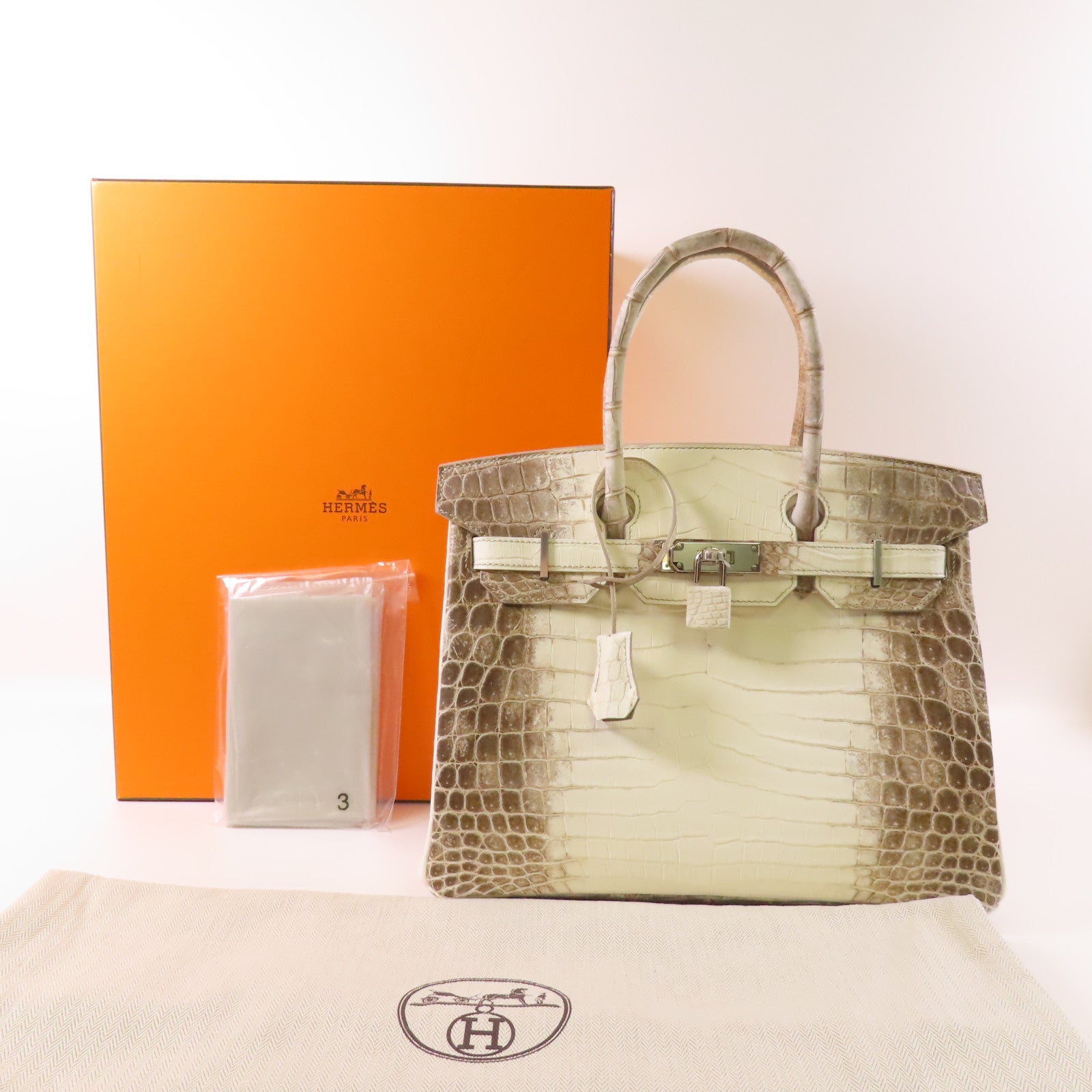 HERMES Niloticus Matt Birkin 30 Himalayan銀扣手挽袋