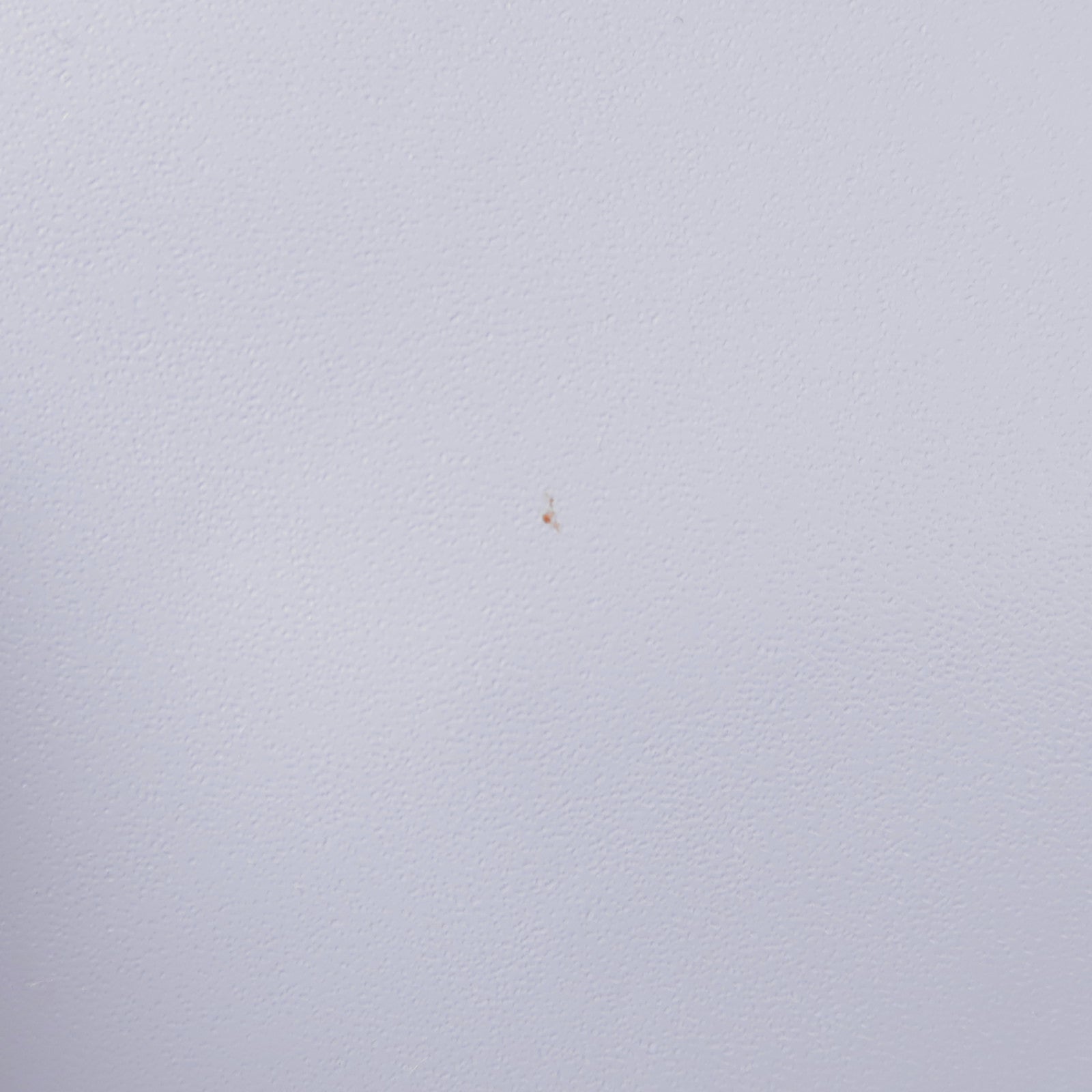 FENDI 【激減優惠】羊皮皮革Kan I銀扣肩背袋