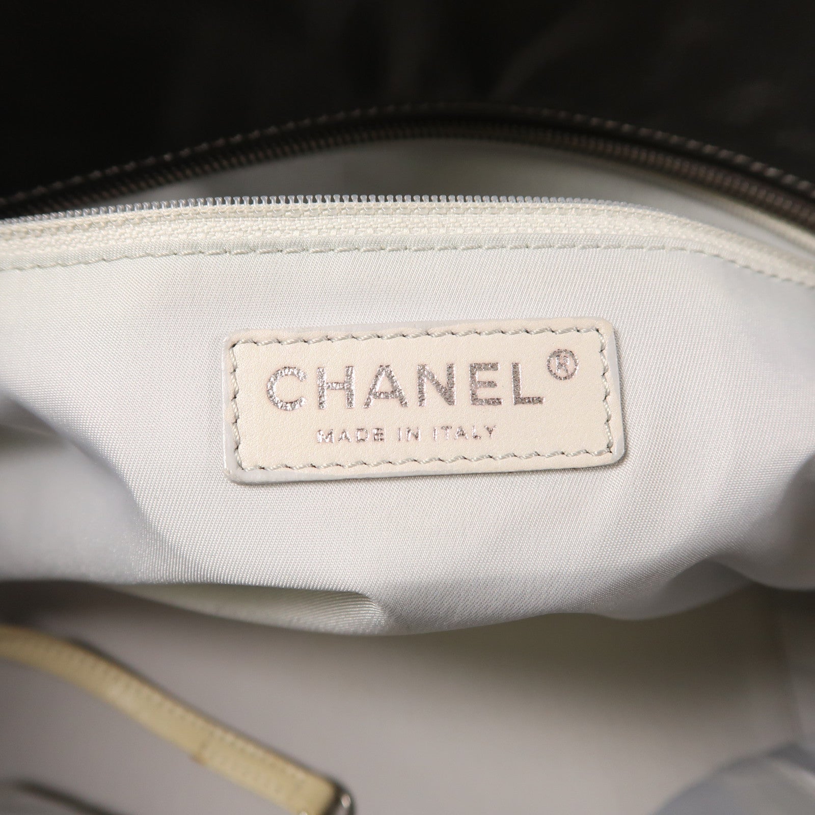 CHANEL 塗層帆布Paris Biarritz銀扣手挽袋