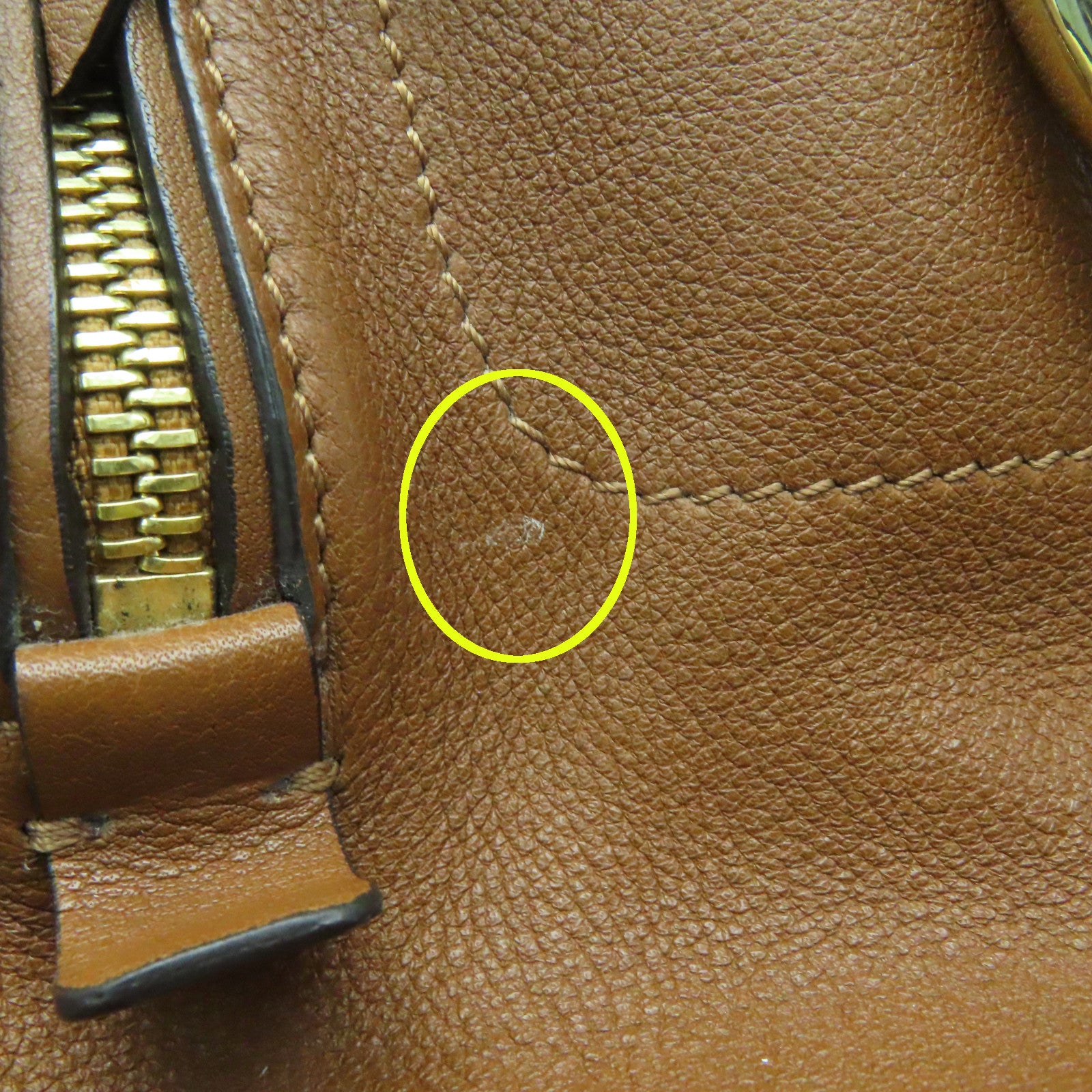 Chloe 麂皮皮革/牛皮皮革Rucksack金扣背包啡色