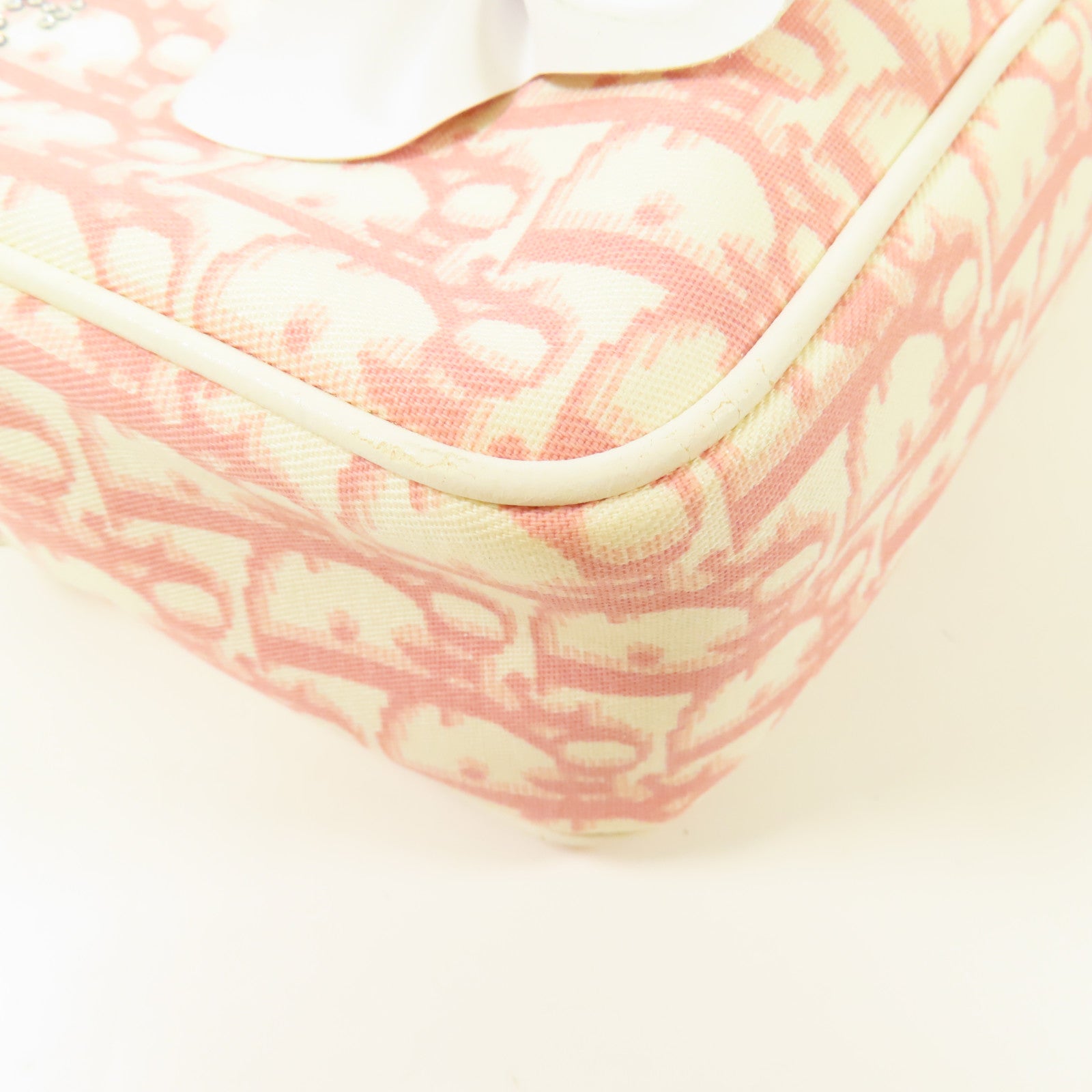 Dior 帆布Trotter Canvas Flower銀扣肩背袋
