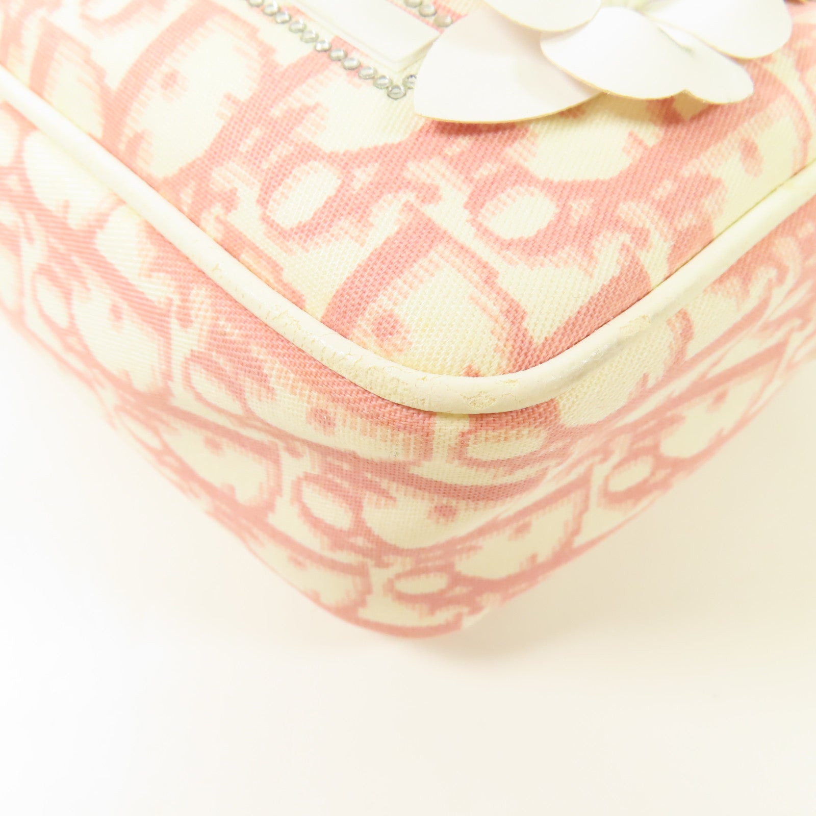 Dior 帆布Trotter Canvas Flower銀扣肩背袋