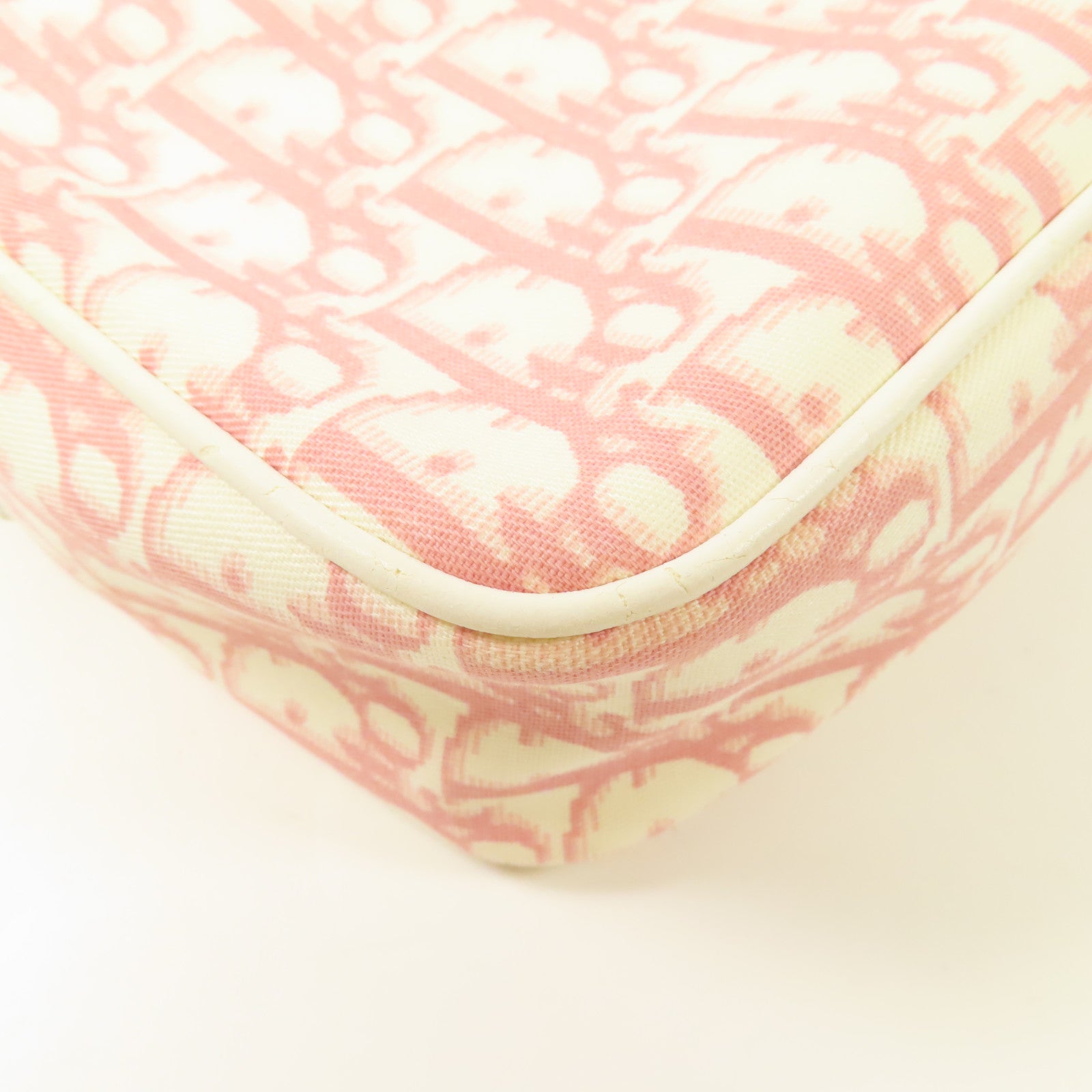 Dior 帆布Trotter Canvas Flower銀扣肩背袋