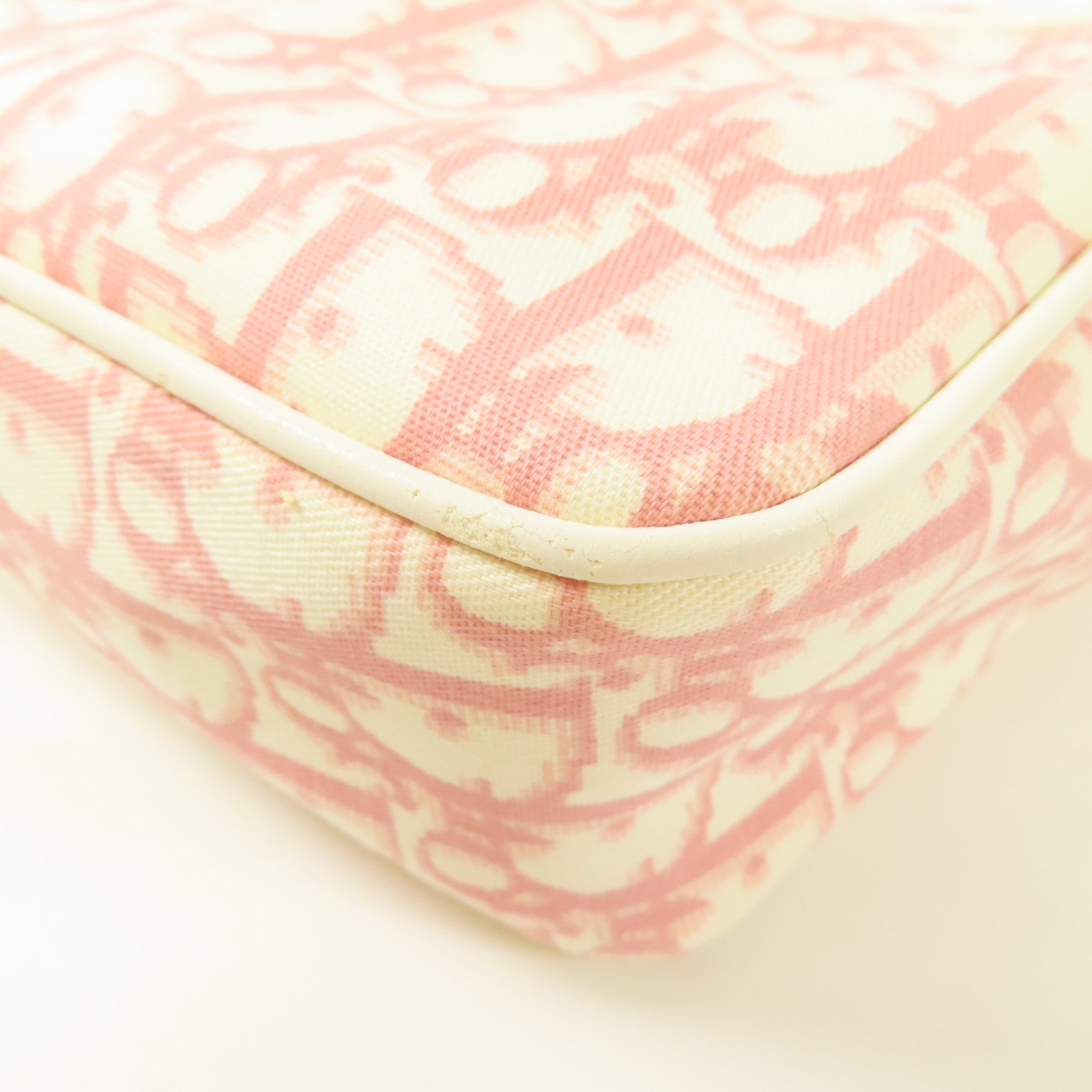 Dior 帆布Trotter Canvas Flower銀扣肩背袋