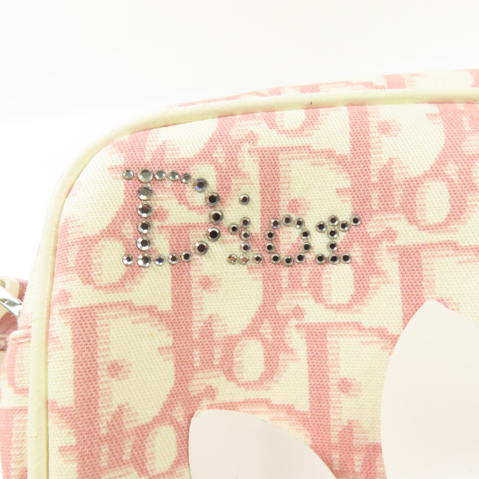 Dior 帆布Trotter Canvas Flower銀扣肩背袋