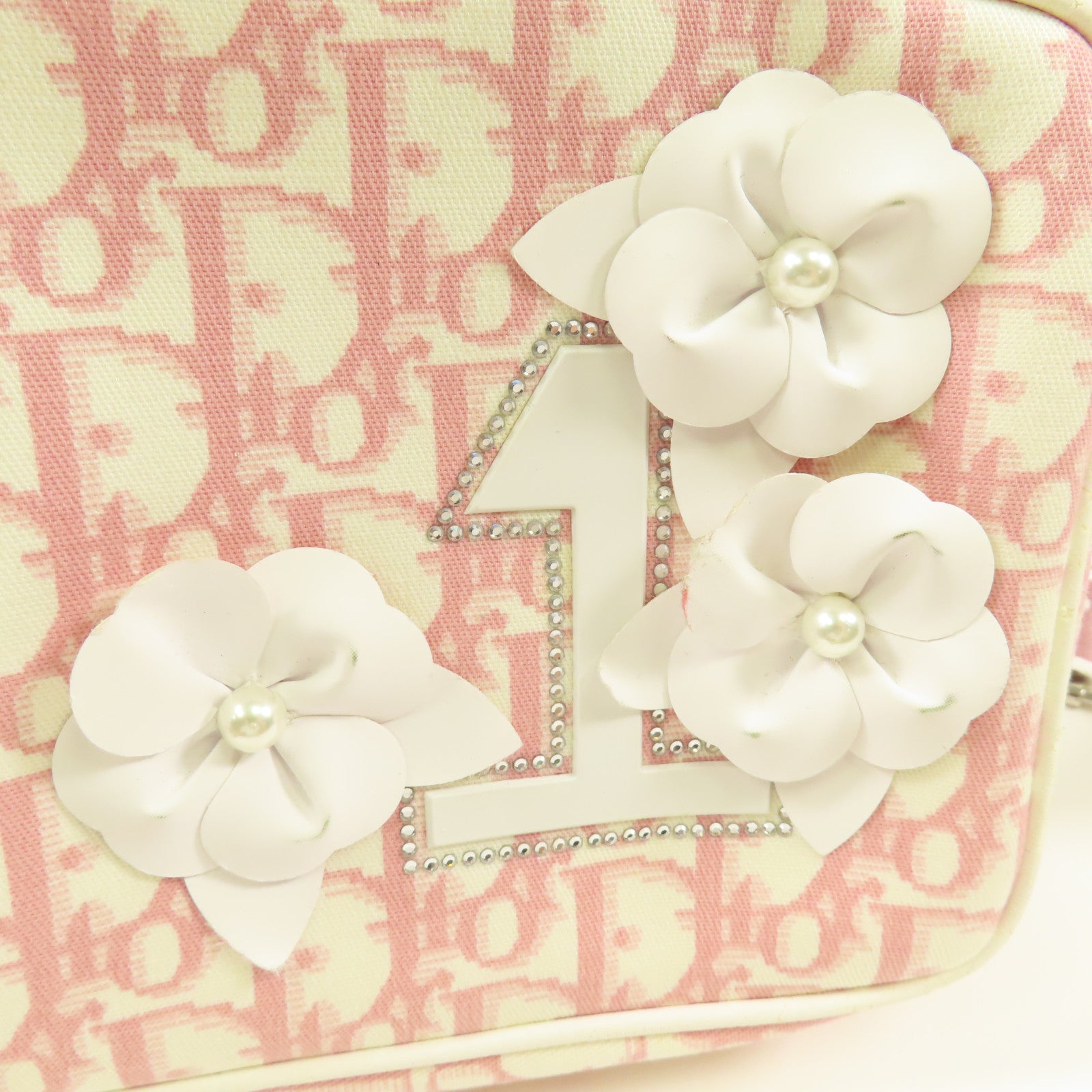 Dior 帆布Trotter Canvas Flower銀扣肩背袋