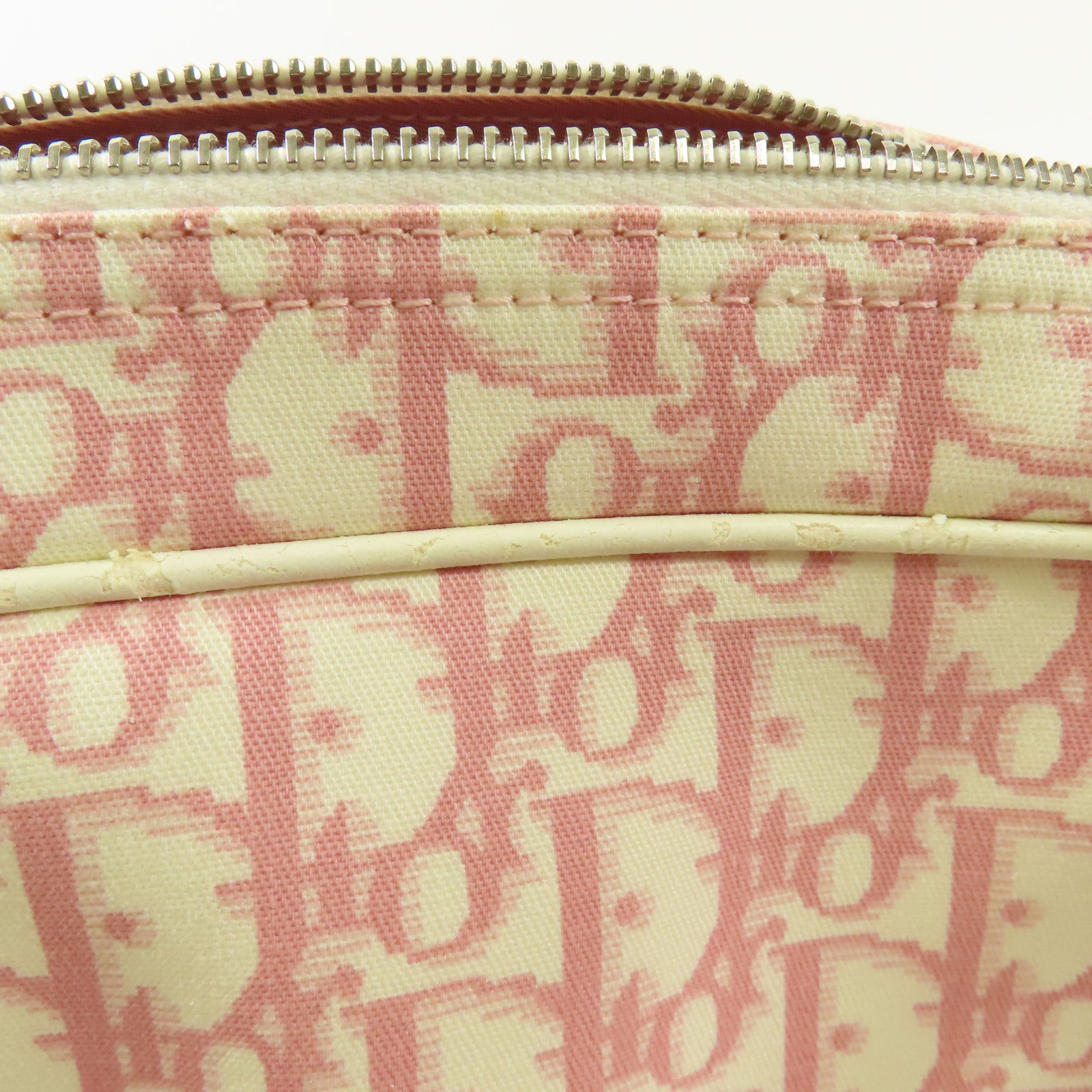 Dior 帆布Trotter Canvas Flower銀扣肩背袋