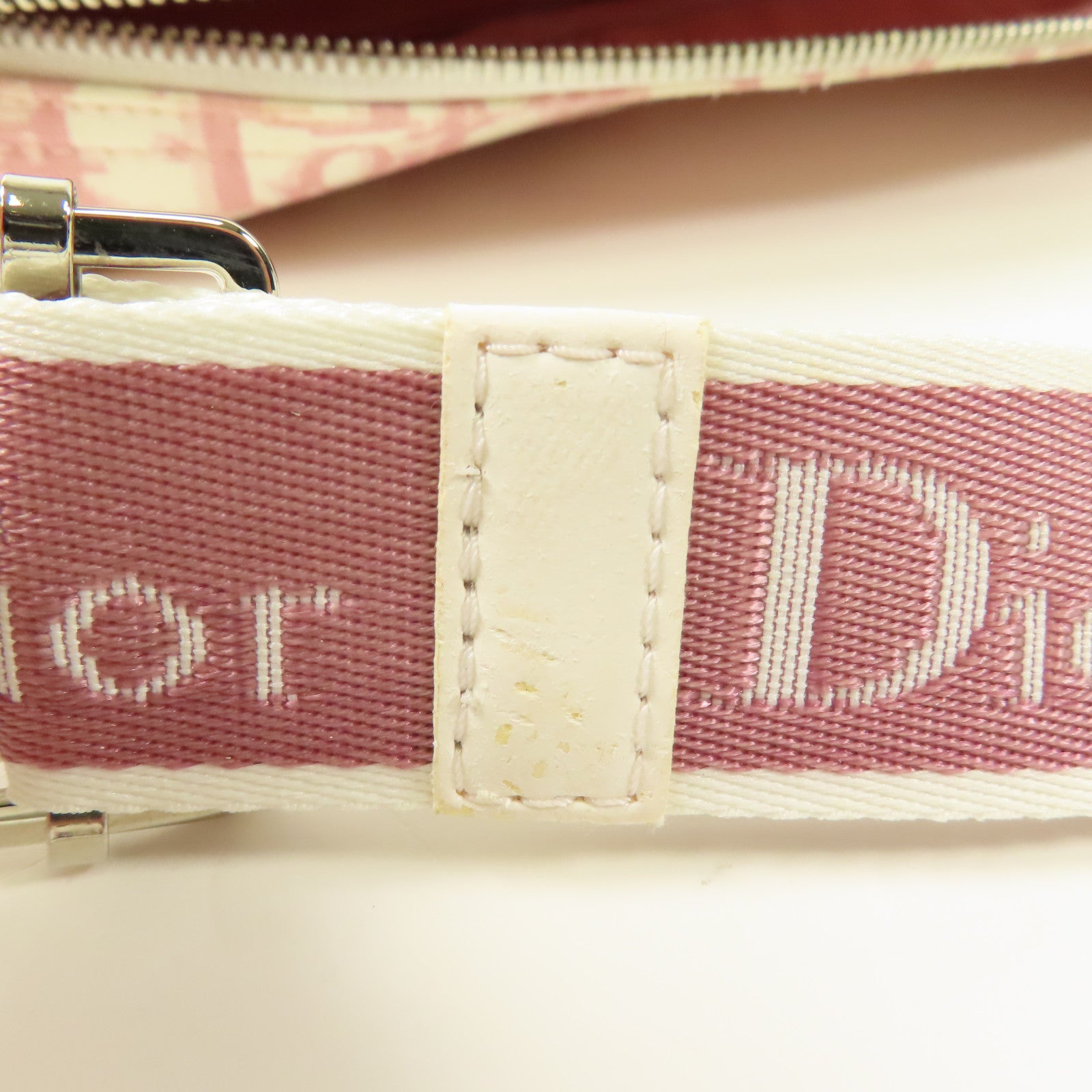 Dior 帆布Trotter Canvas Flower銀扣肩背袋