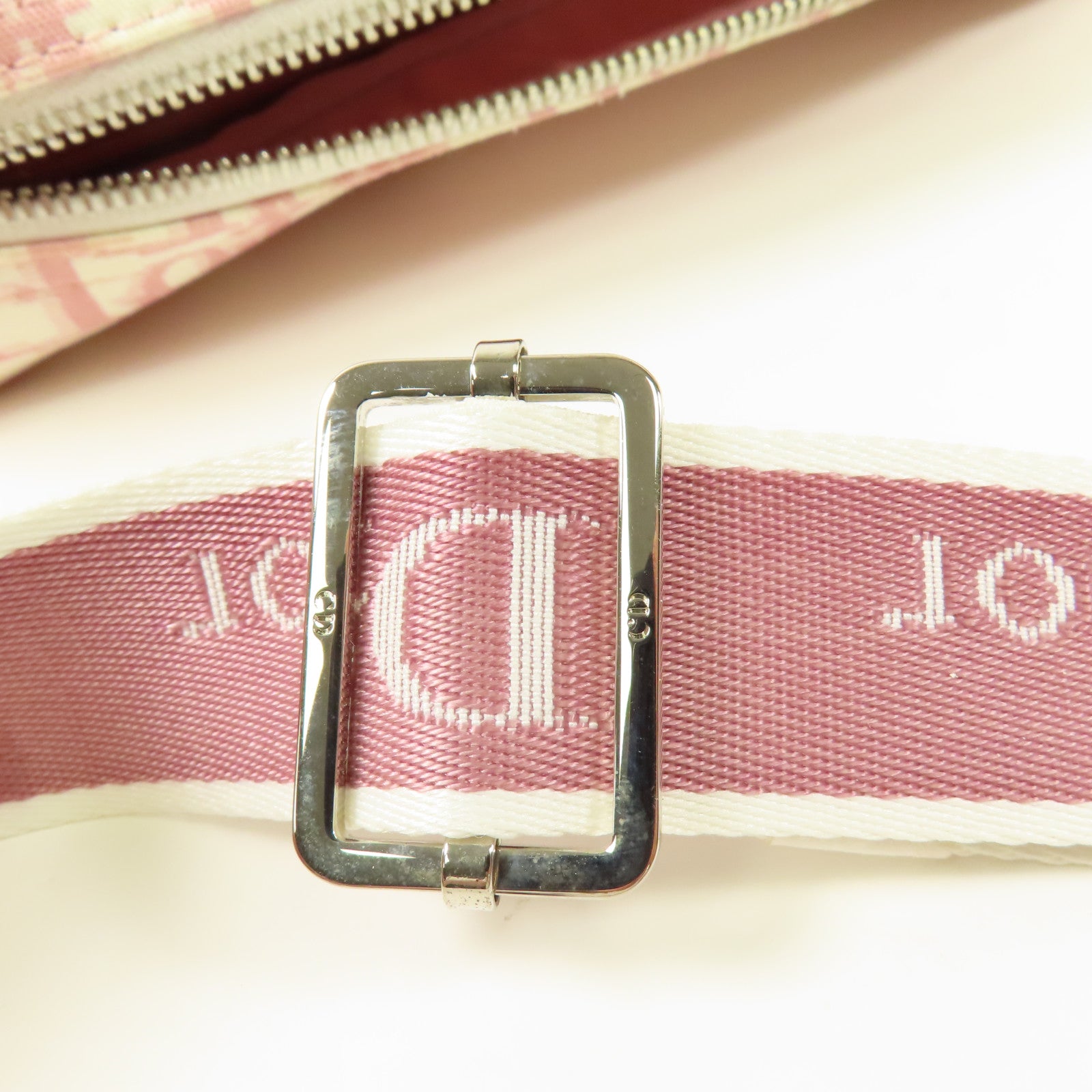 Dior 帆布Trotter Canvas Flower銀扣肩背袋