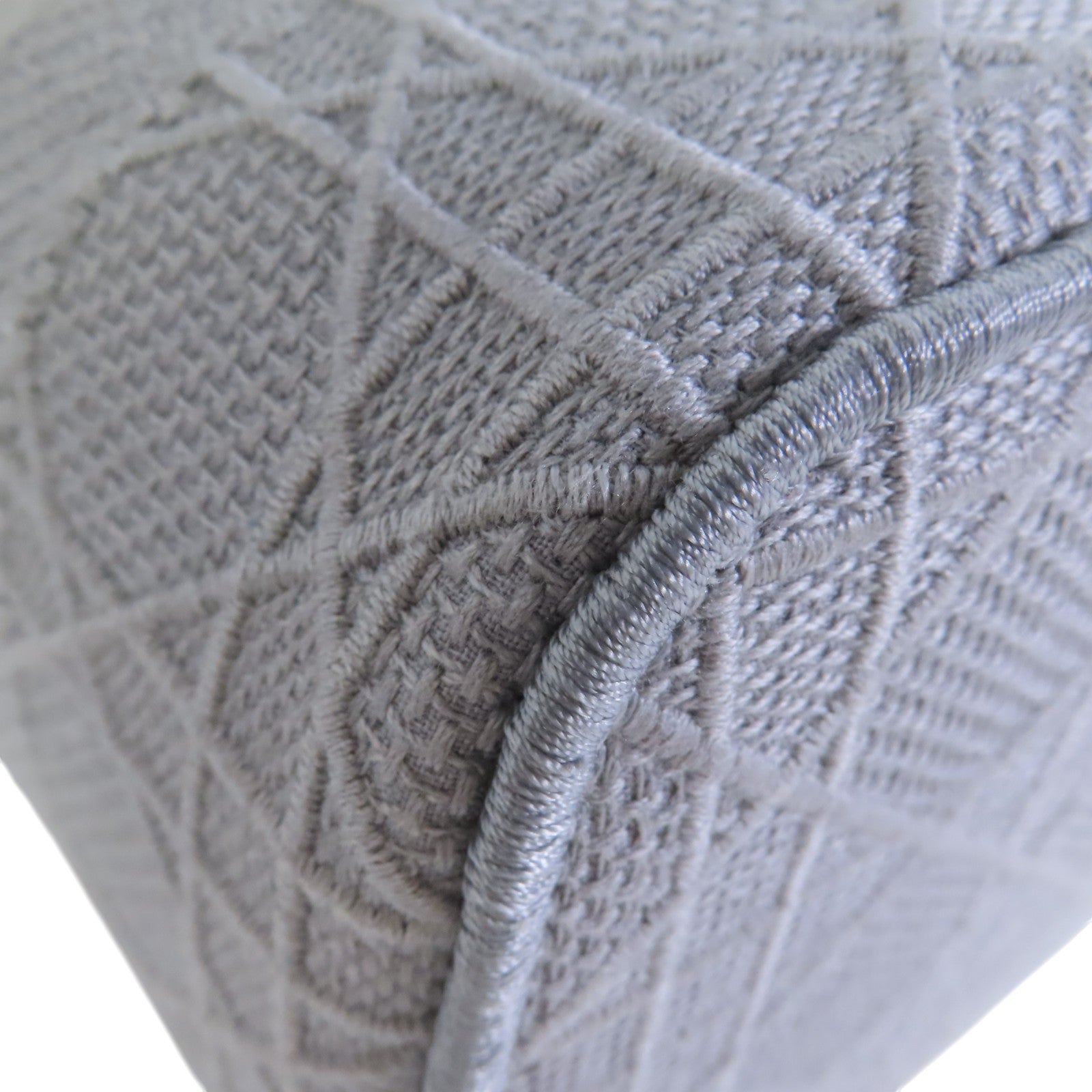 Dior 帆布Vanity case銀扣手挽袋