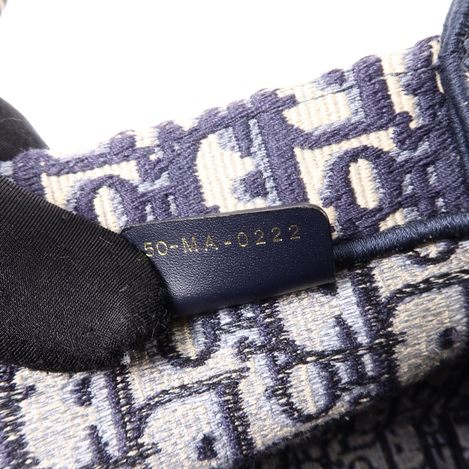 Dior 帆布Book Tote Small手挽袋