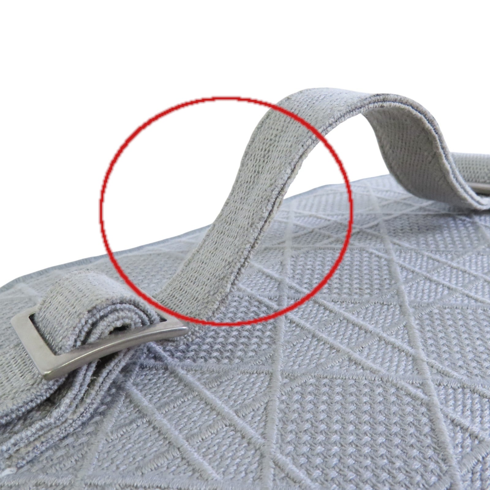 Dior 帆布Vanity case銀扣手挽袋