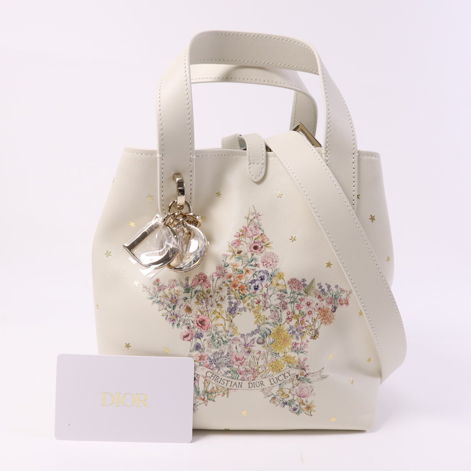 Dior 牛皮皮革Lucky Small Dior Toujours Vertical金扣手挽肩背兩用袋