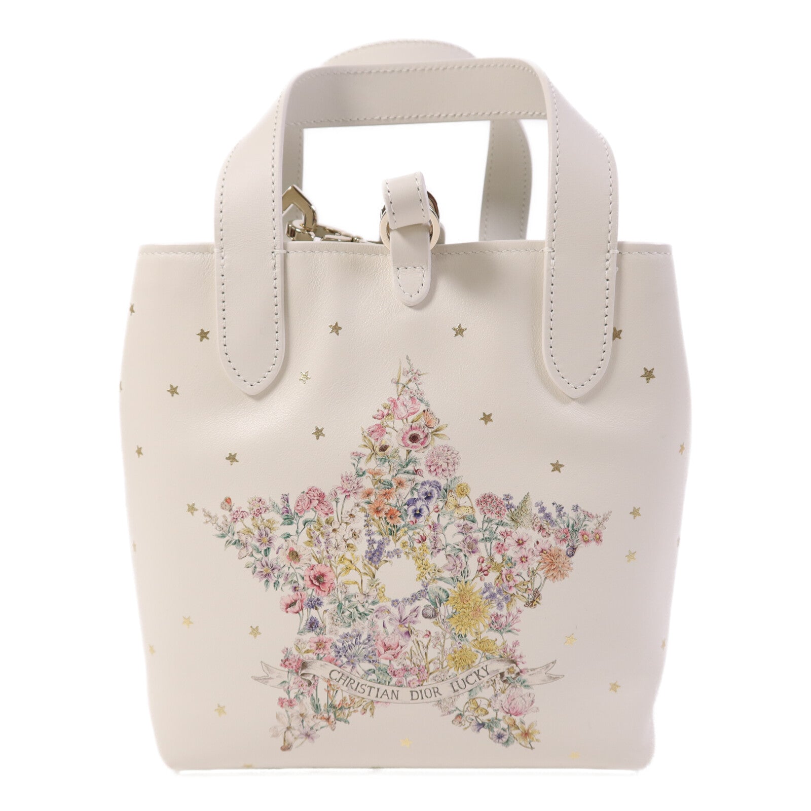 Dior 牛皮皮革Lucky Small Dior Toujours Vertical金扣手挽肩背兩用袋