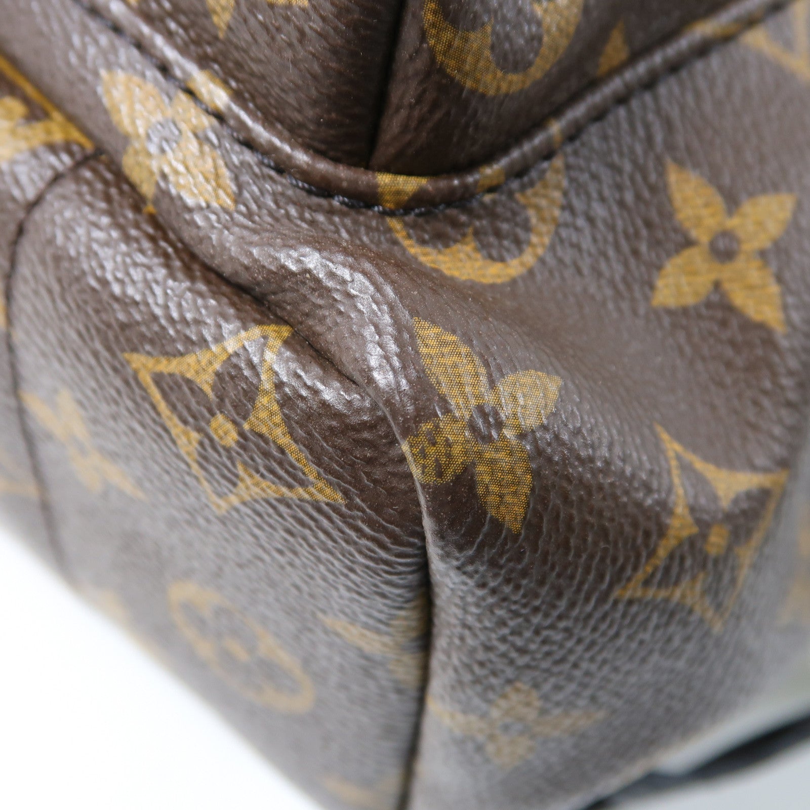 LOUIS VUITTON Monogram Palm Springs金扣背包棕色
