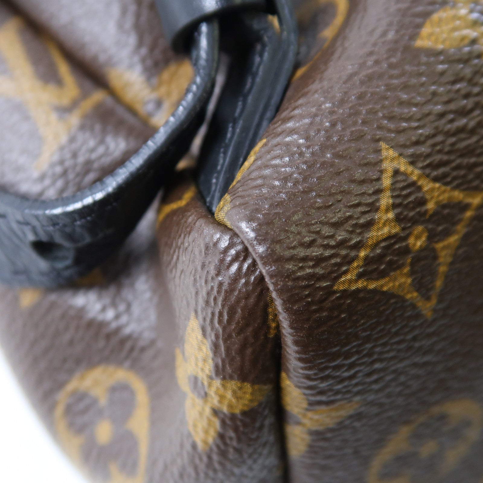 LOUIS VUITTON Monogram Palm Springs金扣背包棕色