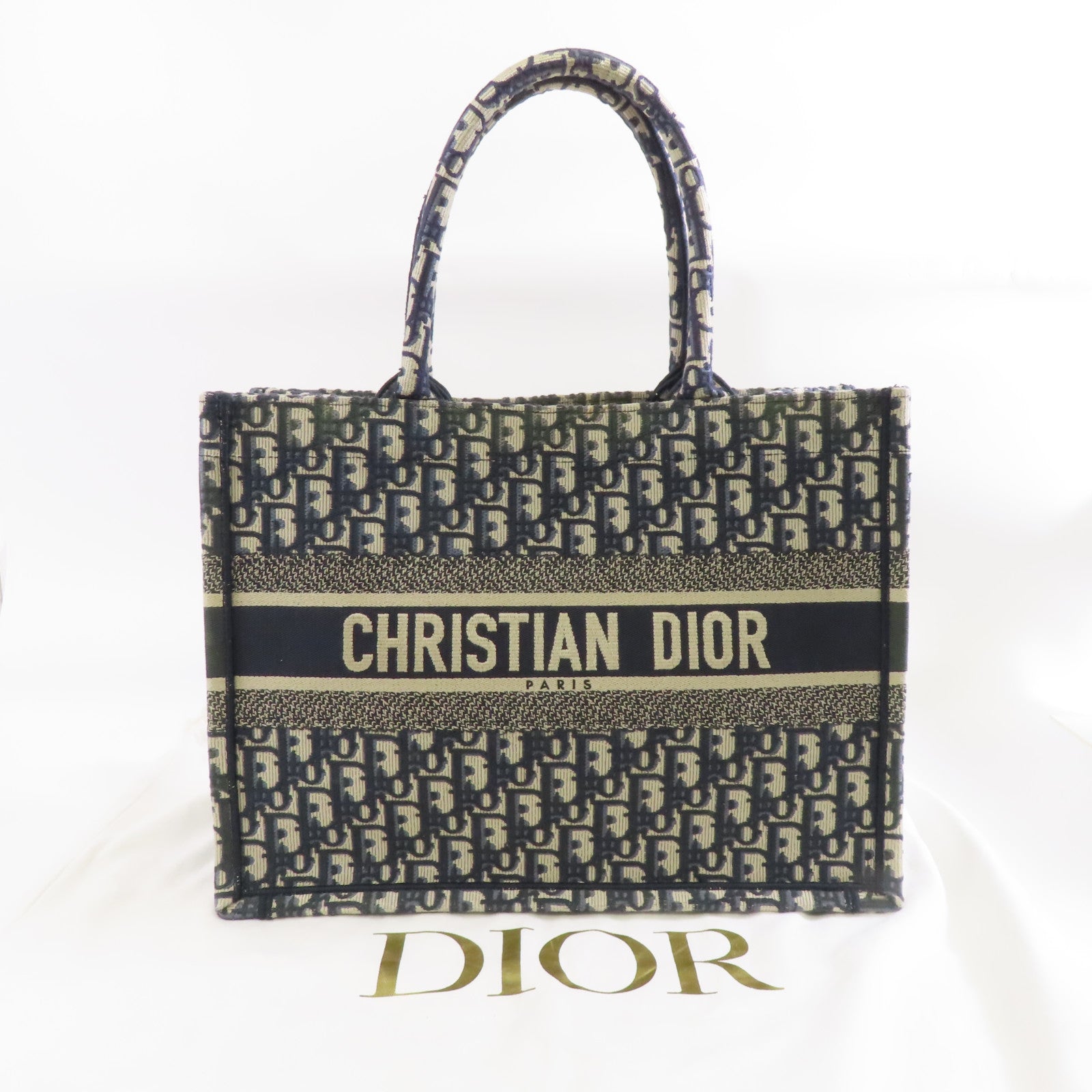 Dior 帆布Book Tote Medium手挽袋藍色