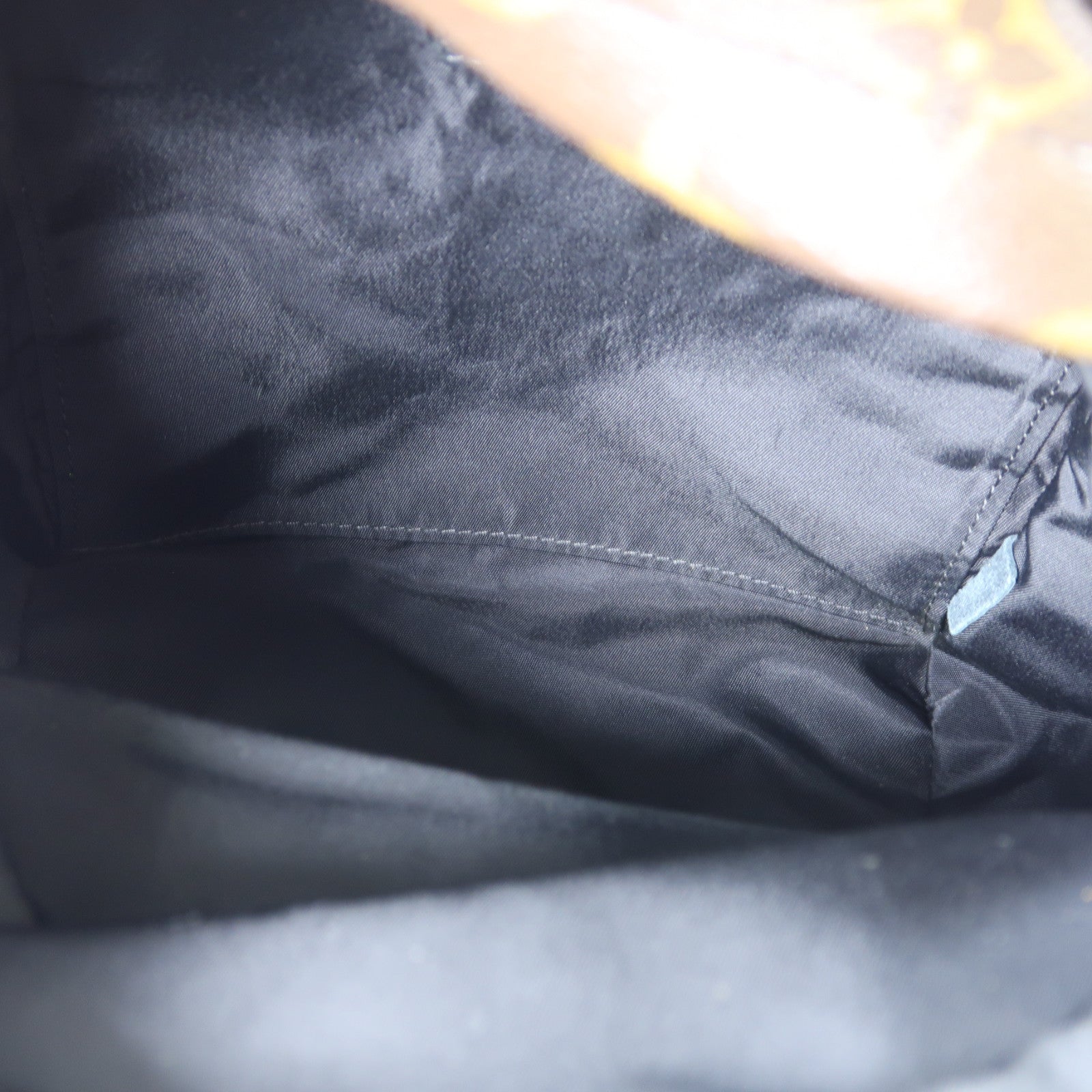 LOUIS VUITTON Monogram Palm Springs金扣背包棕色