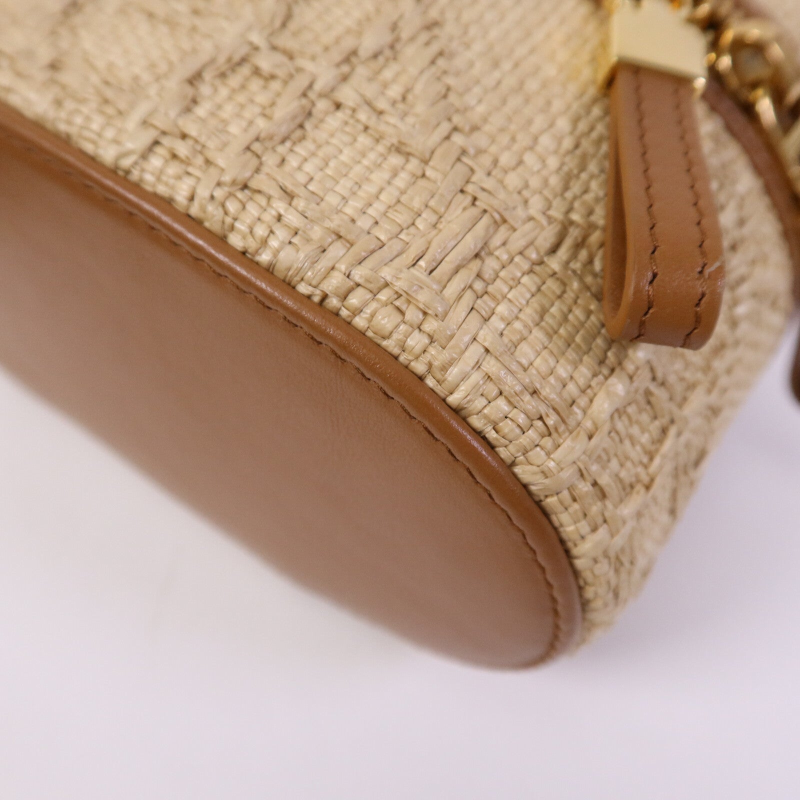 Dior Palm Leaf Vanity Case金扣手挽肩背兩用袋