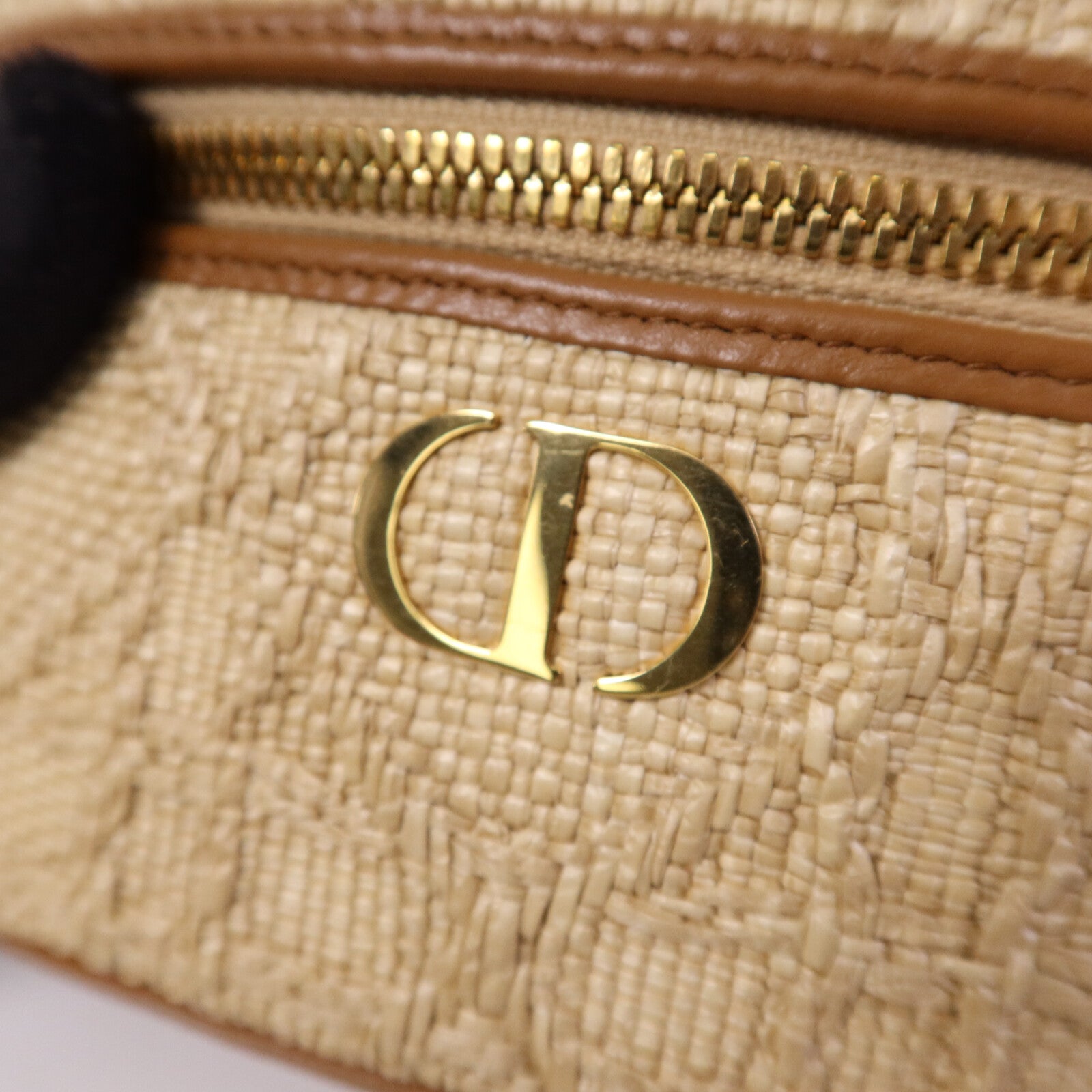 Dior Palm Leaf Vanity Case金扣手挽肩背兩用袋