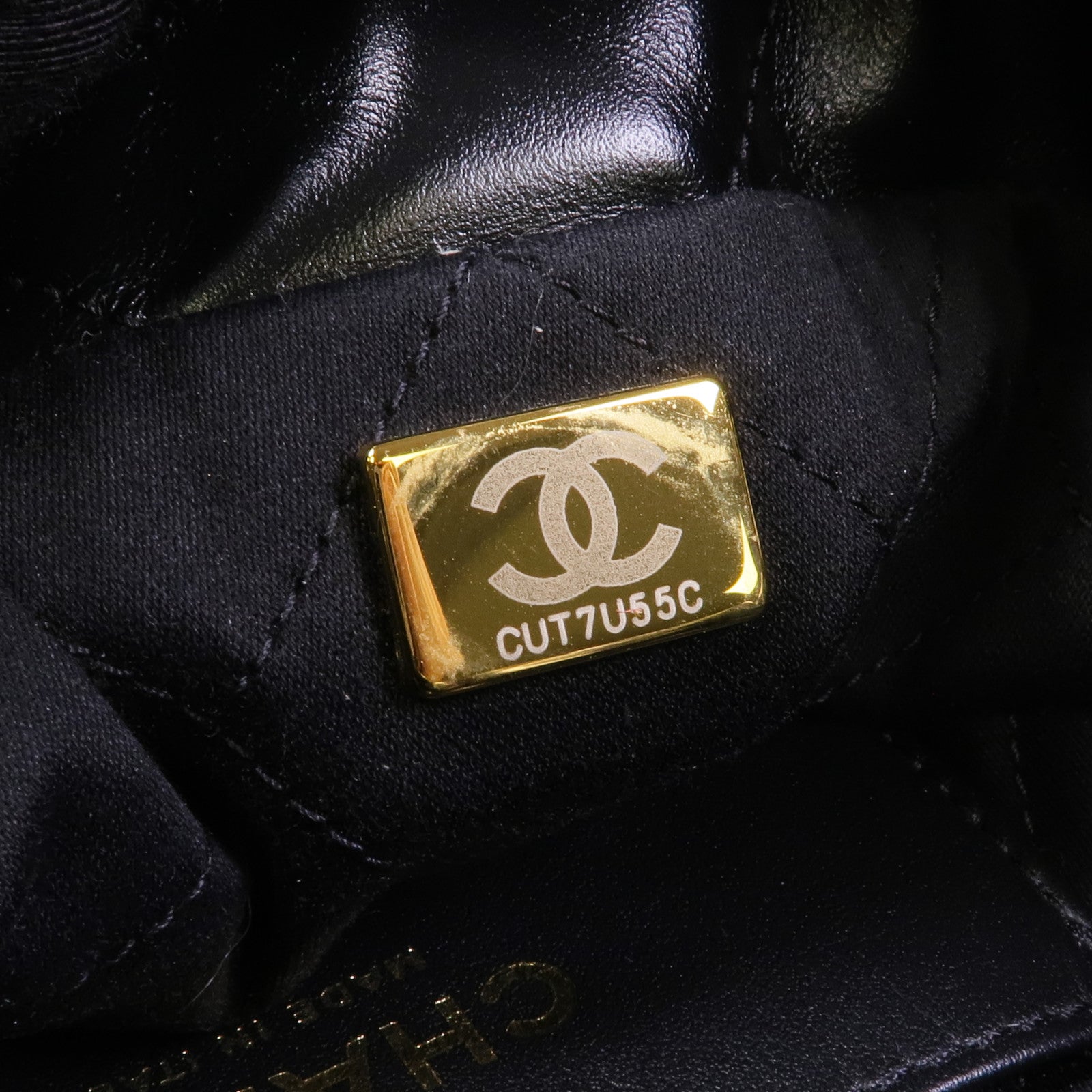 CHANEL 牛皮皮革Chanel 22 Mini金扣手挽肩背兩用袋