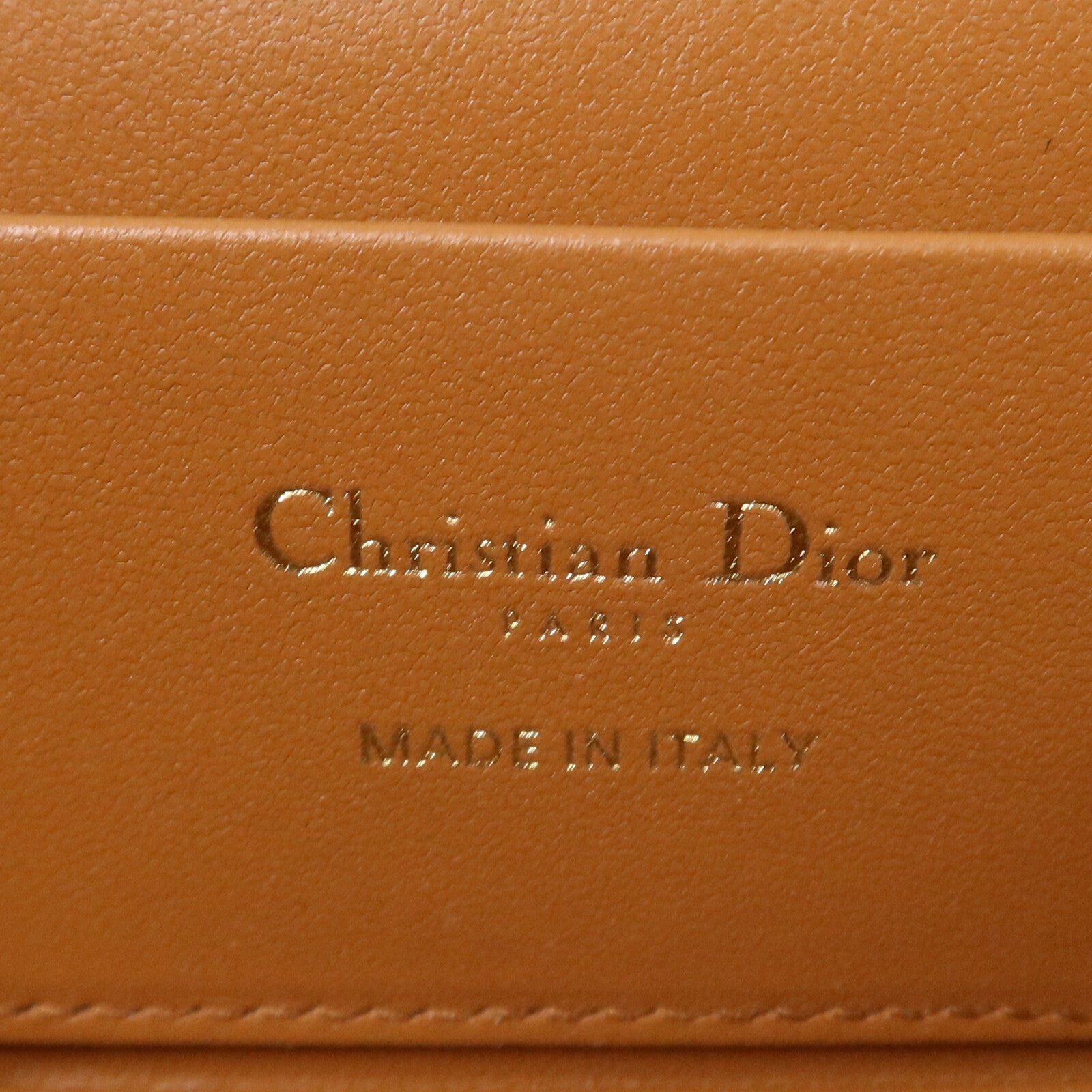Dior Palm Leaf Vanity Case金扣手挽肩背兩用袋