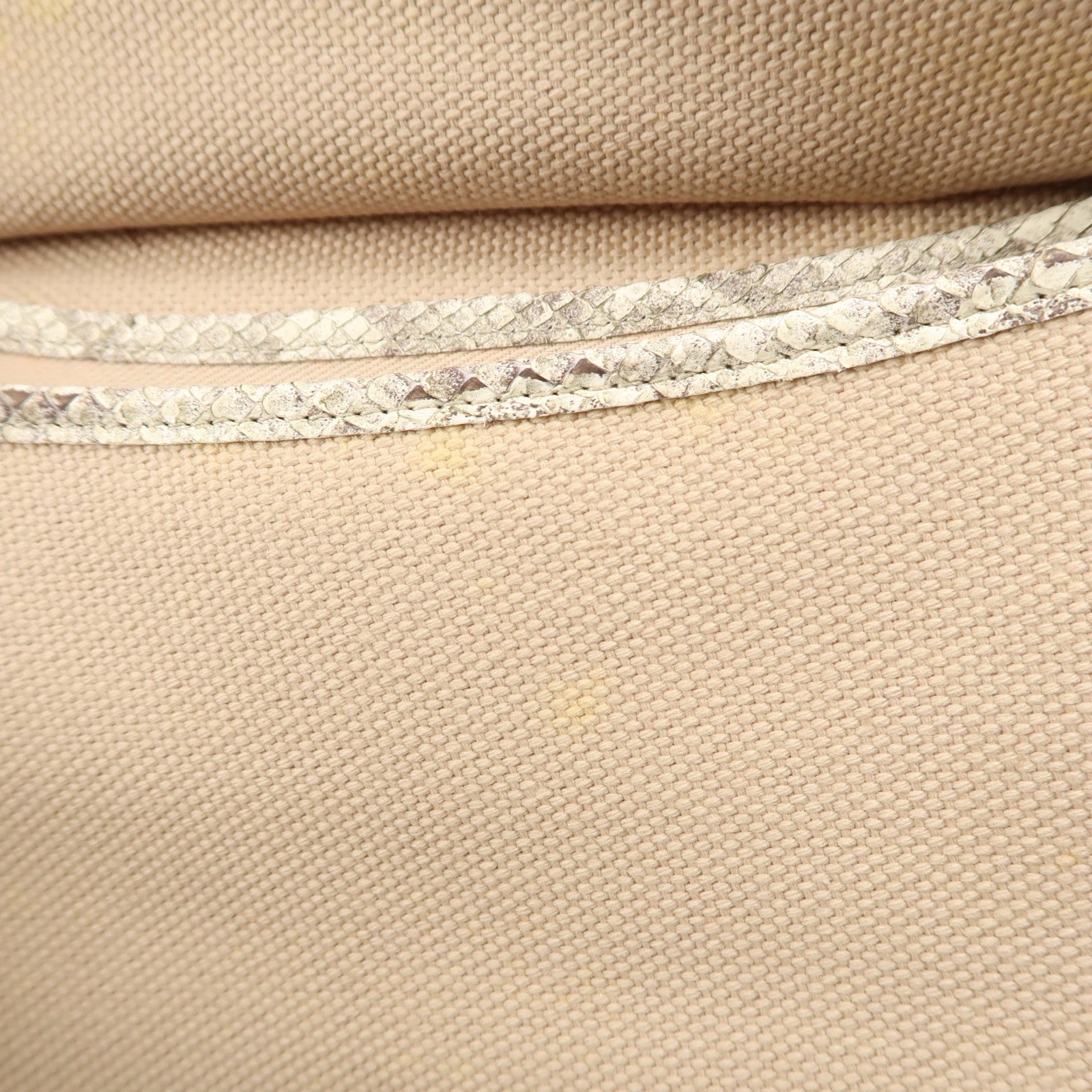 CHANEL 蛇皮皮革/帆布Shoulder Bag銀扣肩背袋