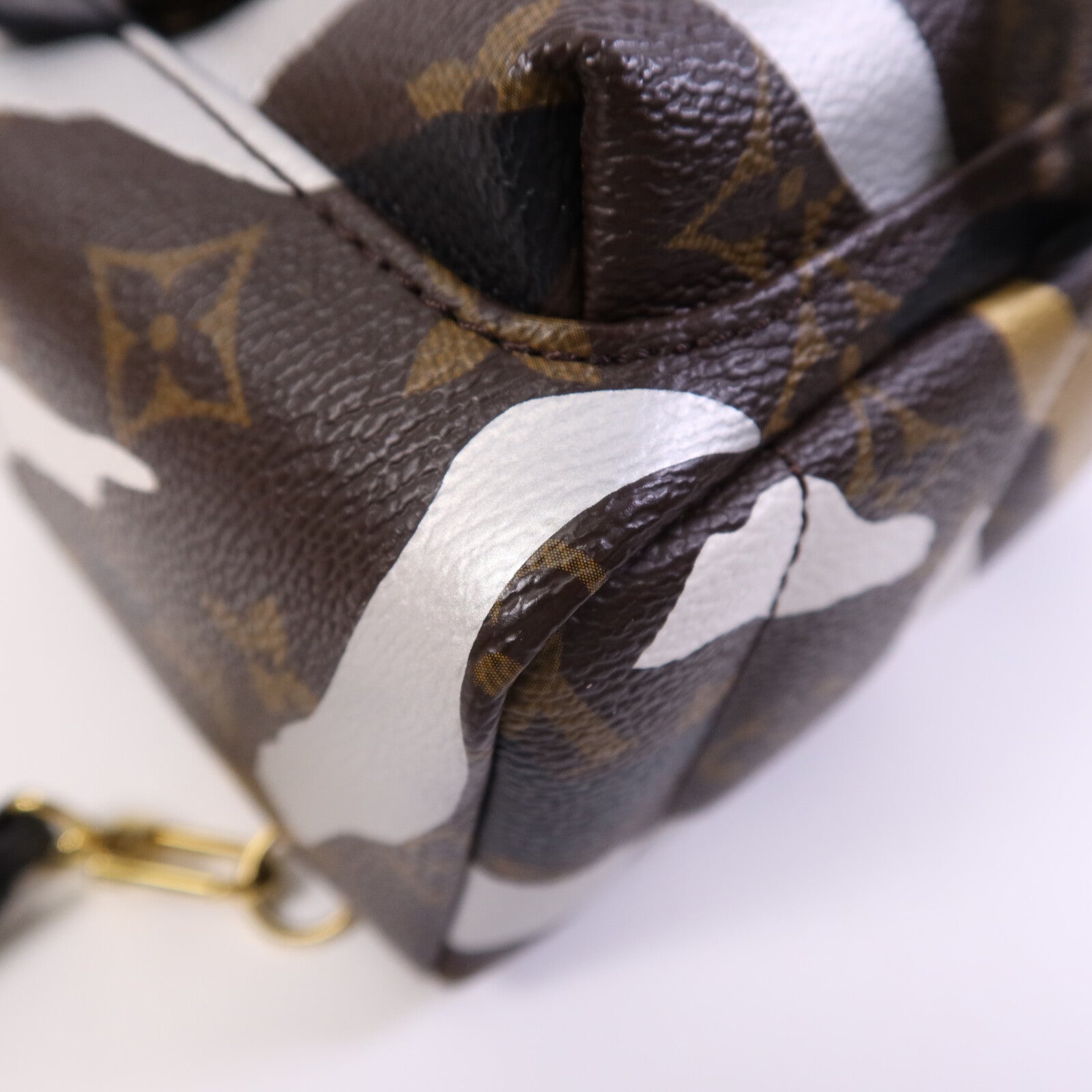 LOUIS VUITTON Monogram Palm Springs BackPack金扣背包