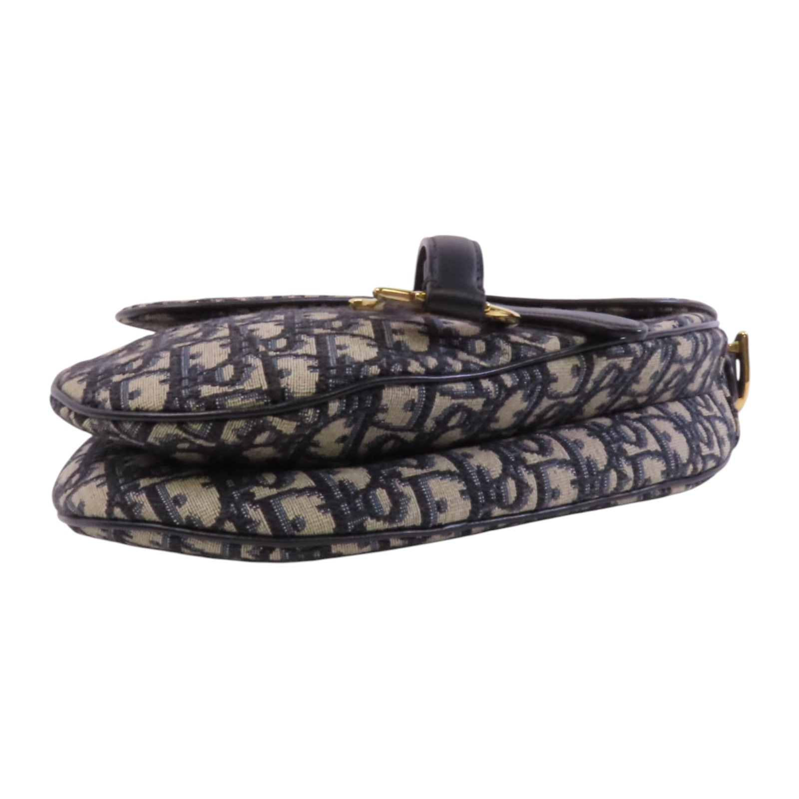 Dior Obrigard帆布Saddle金扣肩背袋