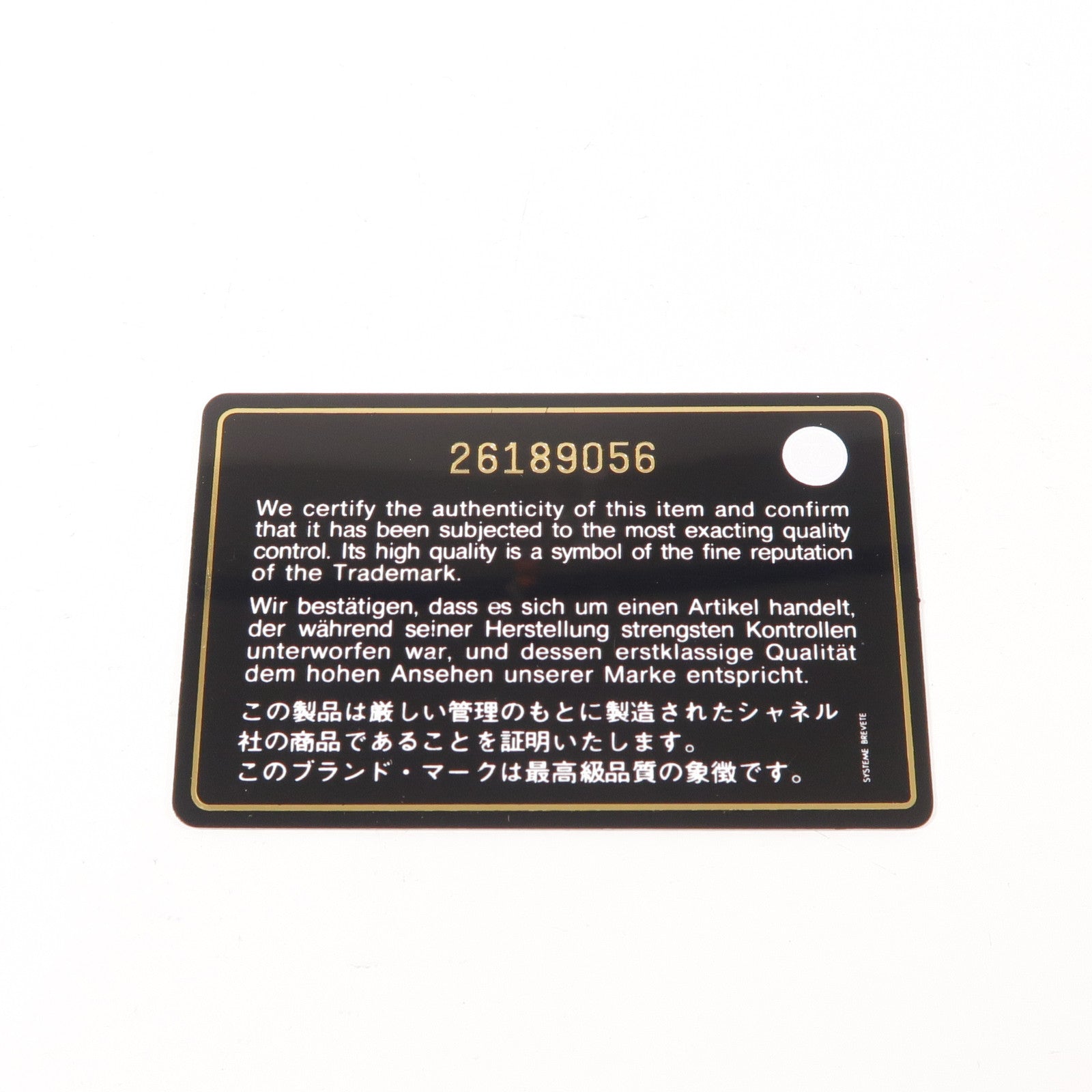 CHANEL 蛇皮皮革2 Way Shoulder金扣手挽肩背兩用袋