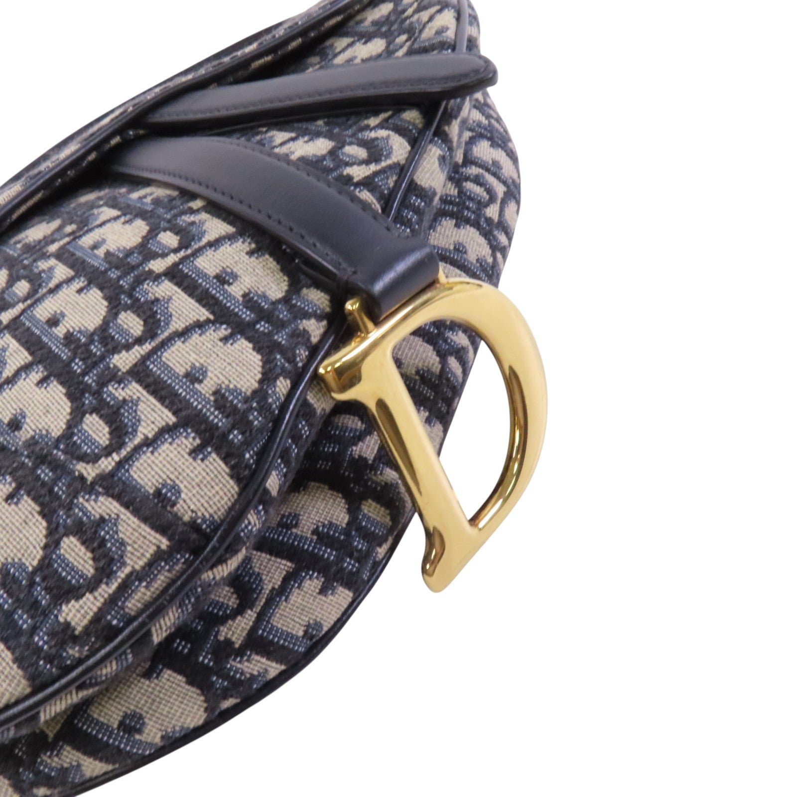 Dior Obrigard帆布Saddle金扣肩背袋