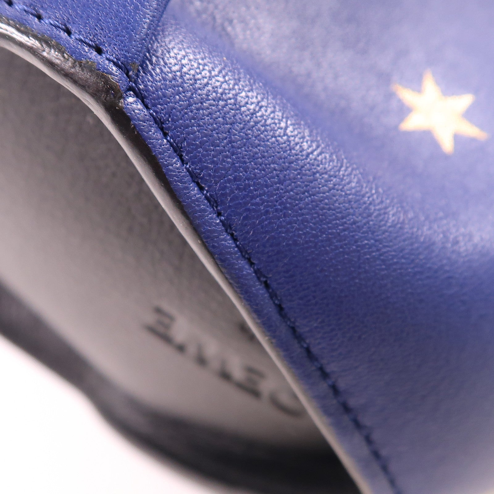 LOEWE 牛皮皮革Bunny Star Mini Bag金扣肩背袋