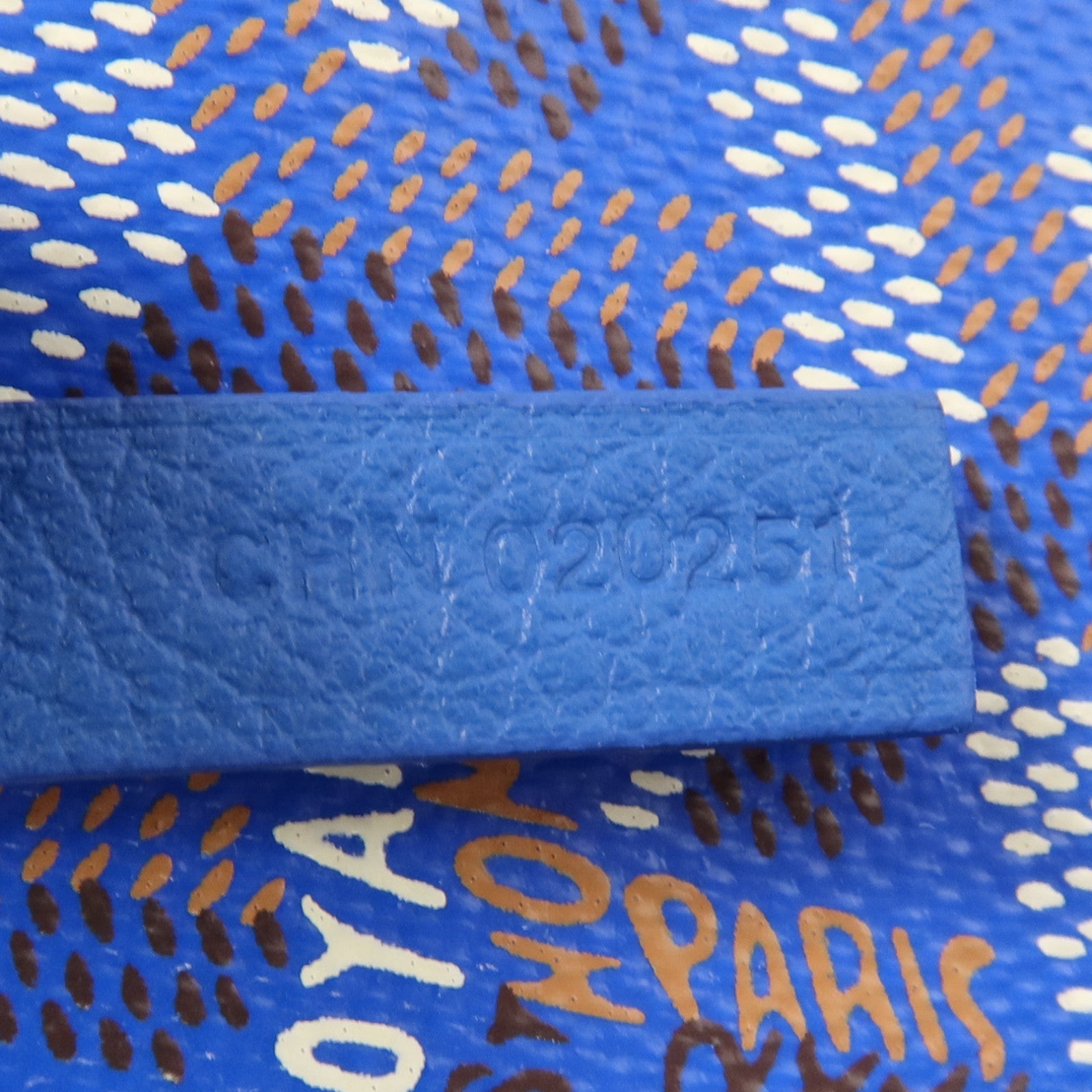 GOYARD 塗層帆布Saint Louis PM銀扣肩背袋