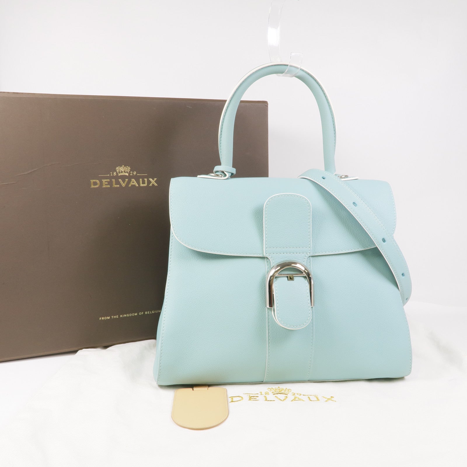 Delvaux 牛皮皮革Brillant MM金扣手挽肩背兩用袋