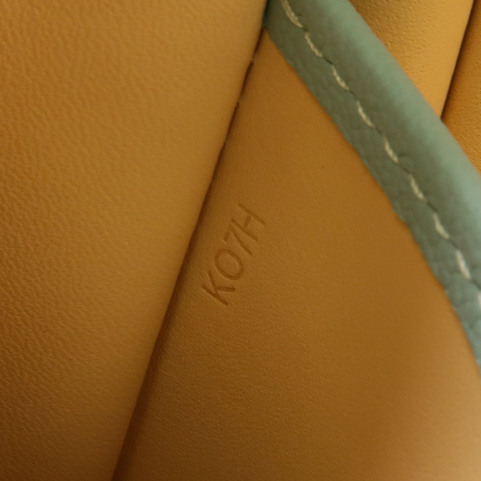 Delvaux 牛皮皮革Brillant MM金扣手挽肩背兩用袋