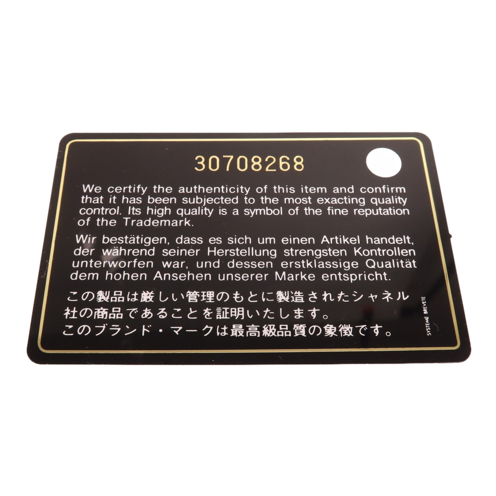 CHANEL 亮片Chanel 19 Sequin Flap Bag金扣手挽肩背兩用袋