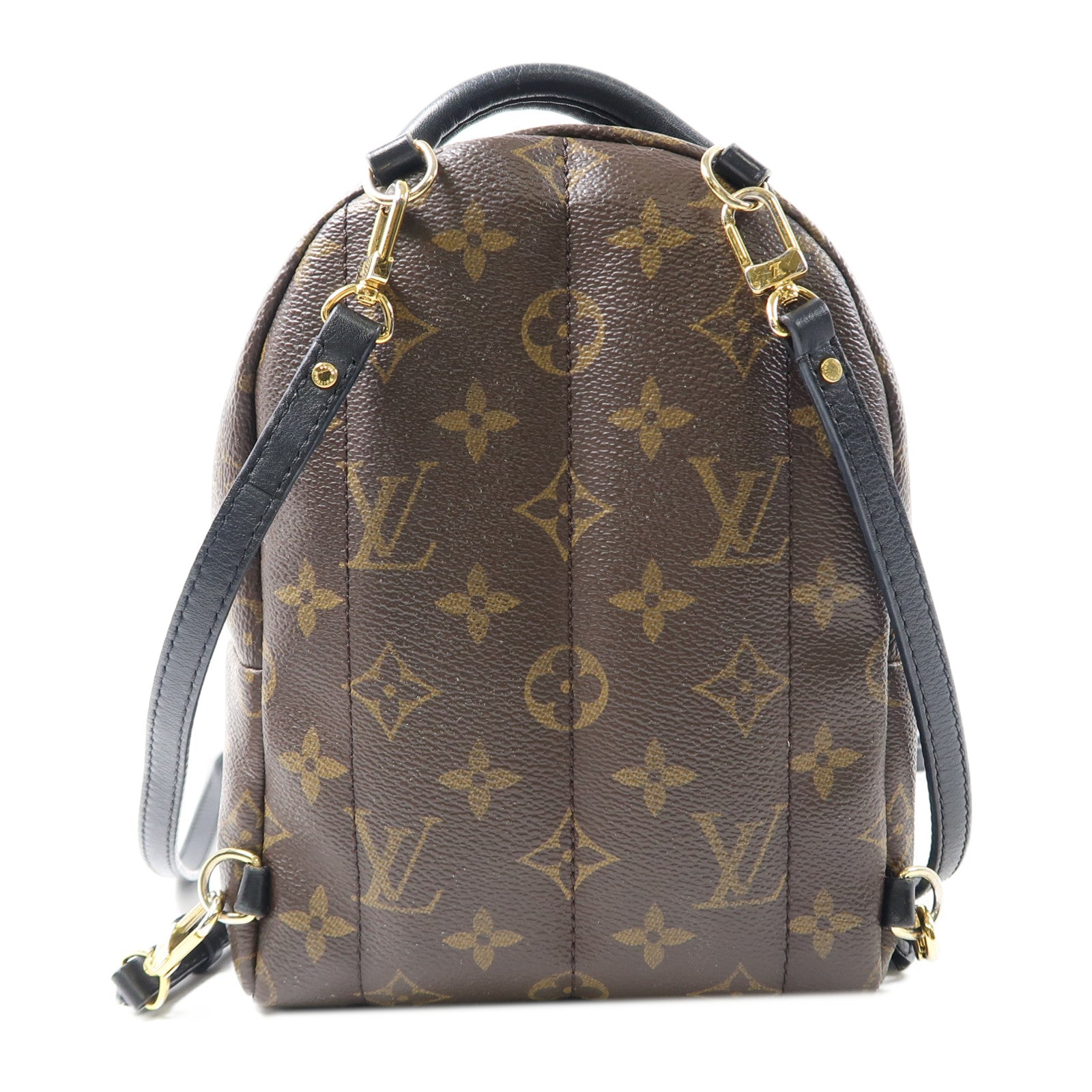 LOUIS VUITTON Monogram Palm Springs金扣背包棕色