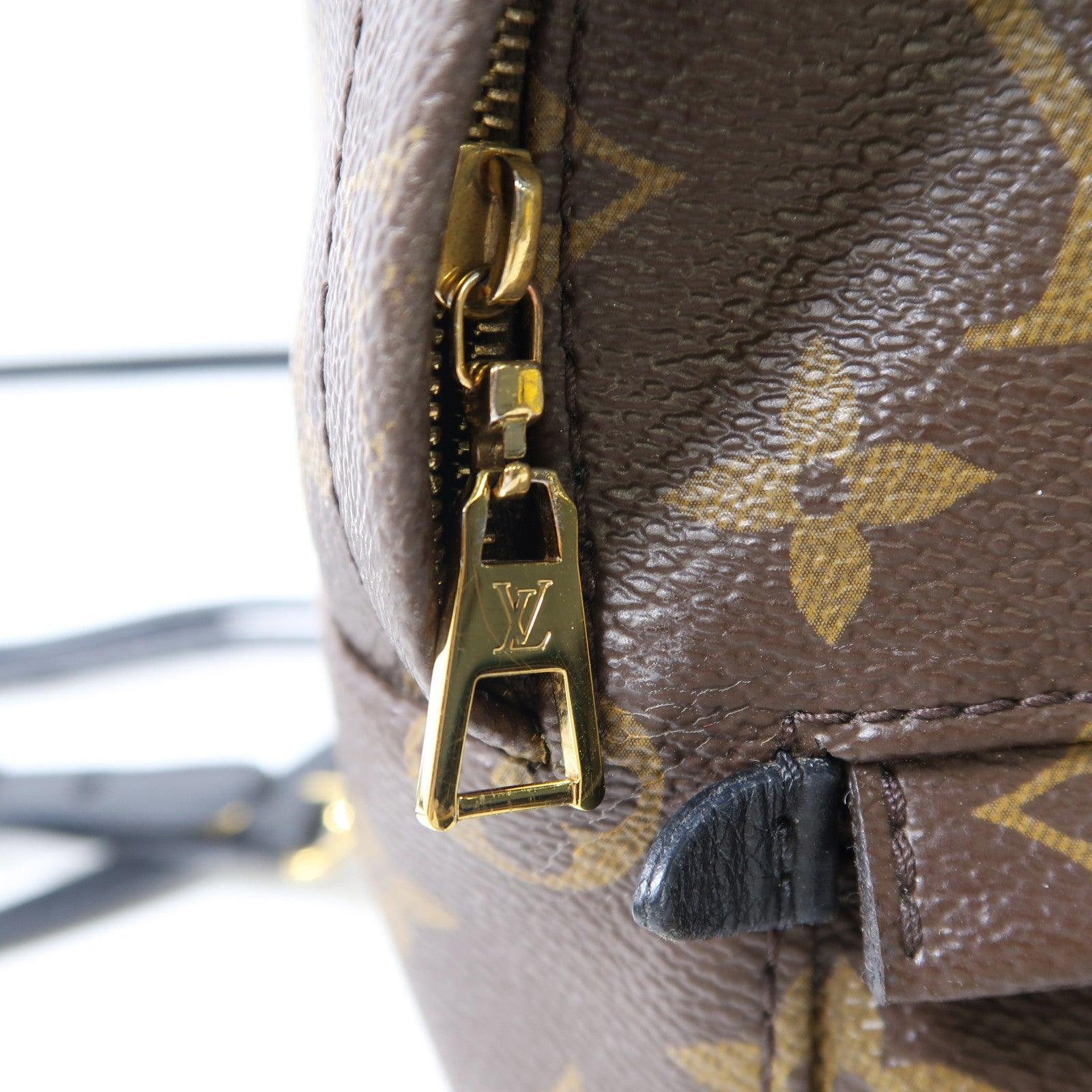 LOUIS VUITTON Monogram Palm Springs金扣背包棕色