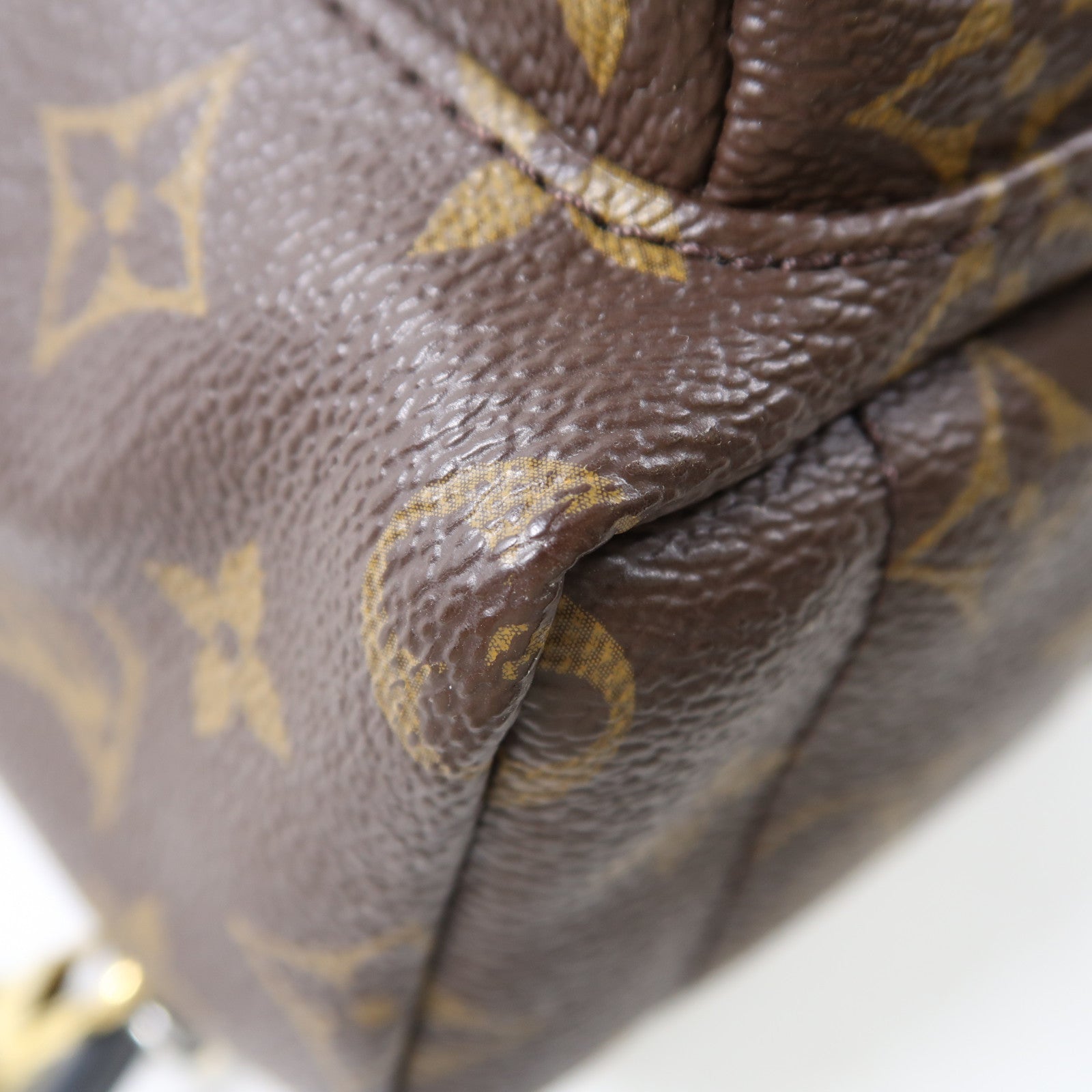 LOUIS VUITTON Monogram Palm Springs金扣背包棕色
