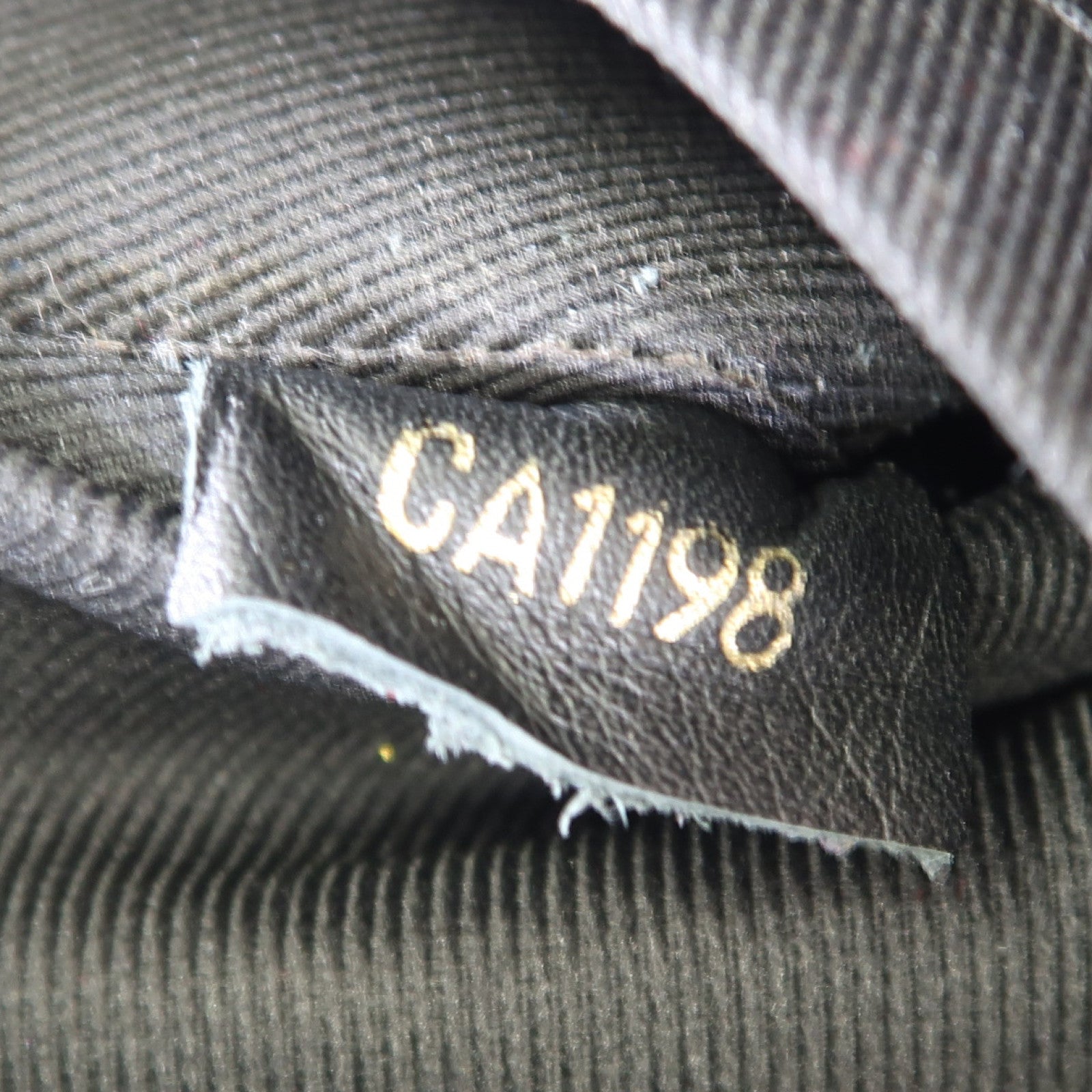 LOUIS VUITTON Monogram Palm Springs金扣背包棕色