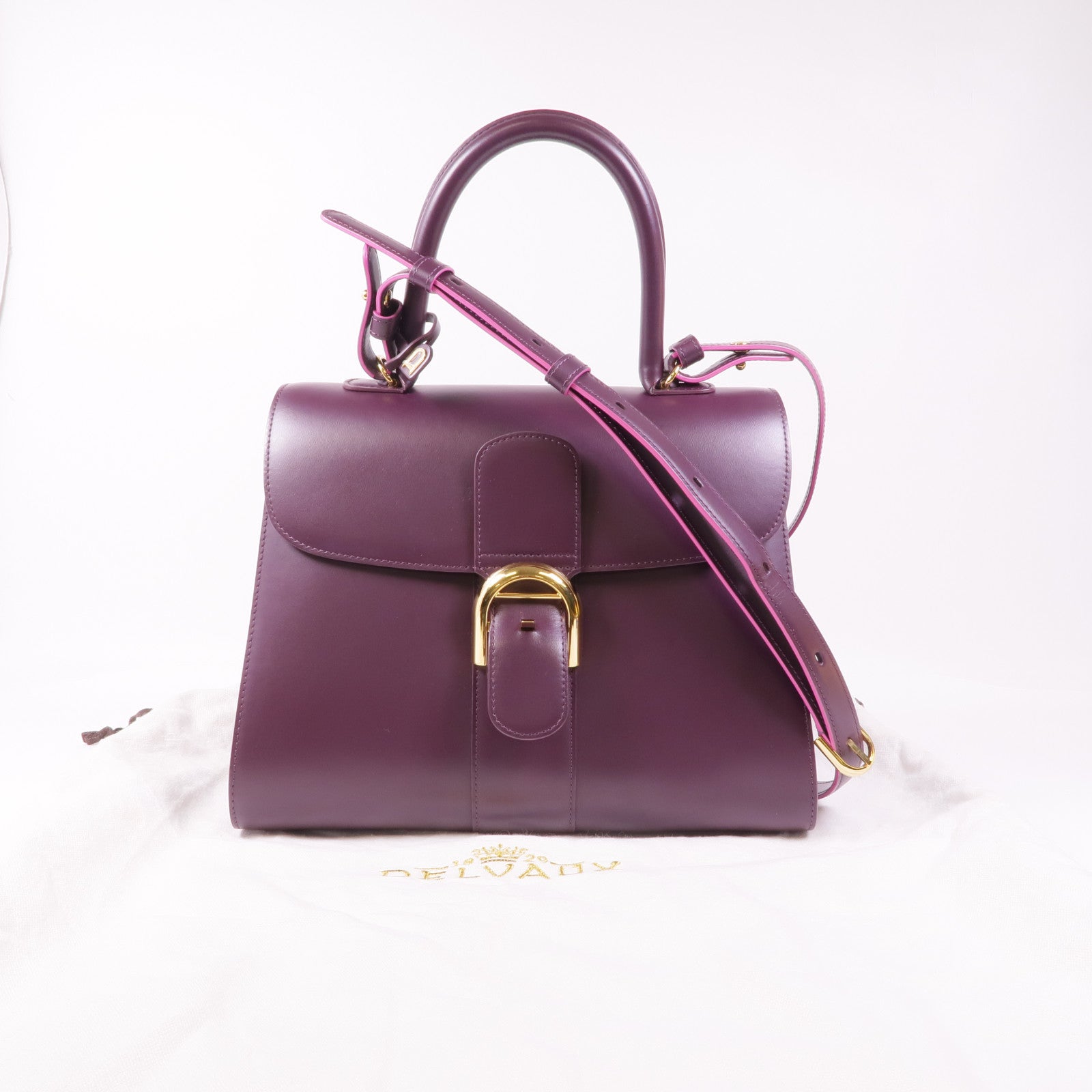 Delvaux 牛皮皮革Brillant MM金扣手挽肩背兩用袋