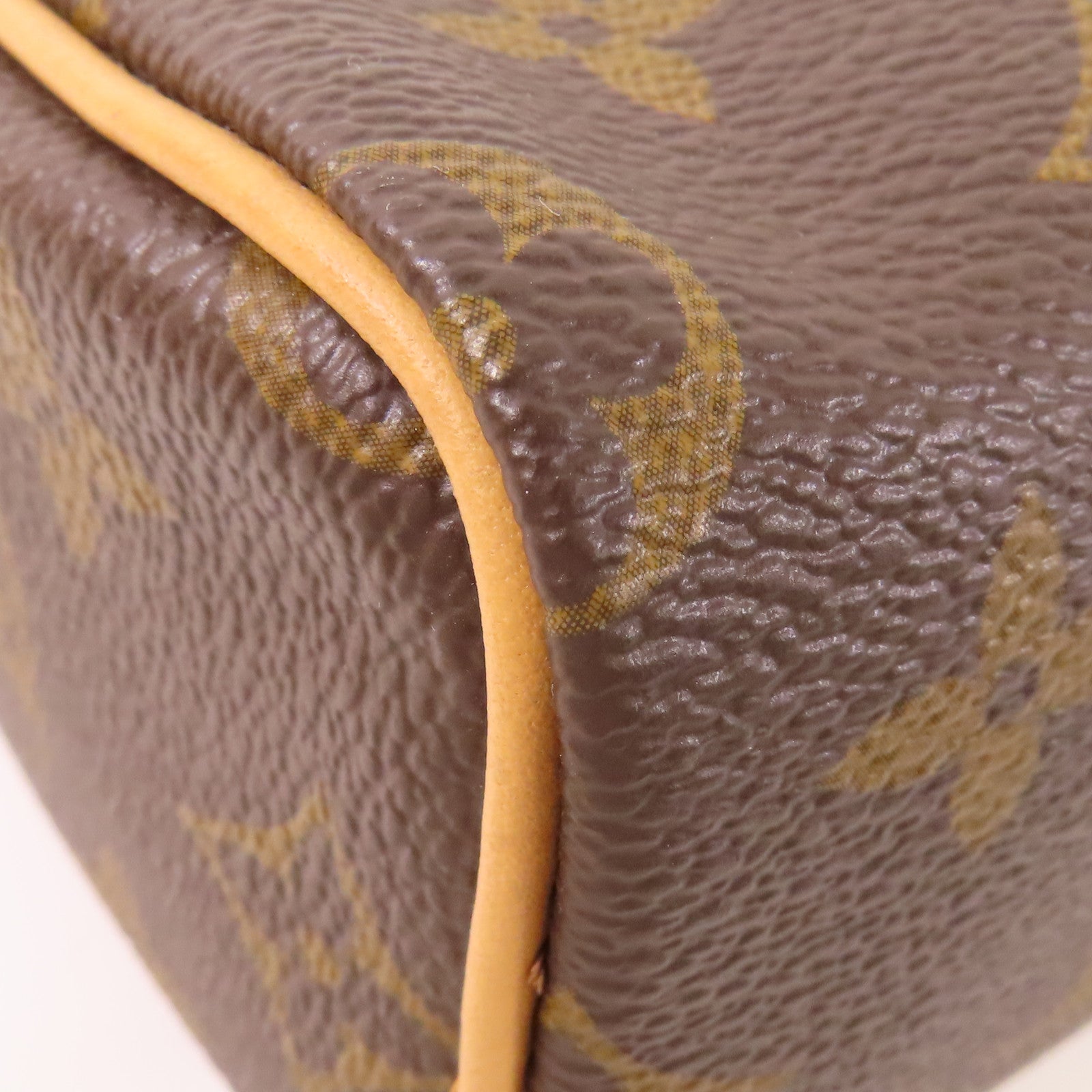 LOUIS VUITTON Monogram Nano Speedy金扣手挽肩背兩用袋