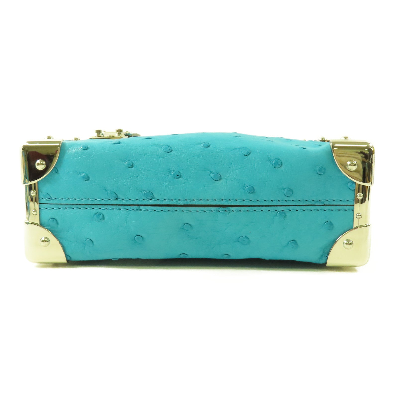 LOUIS VUITTON 鴕鳥皮革Side Trunk PM銀扣手挽肩背兩用袋